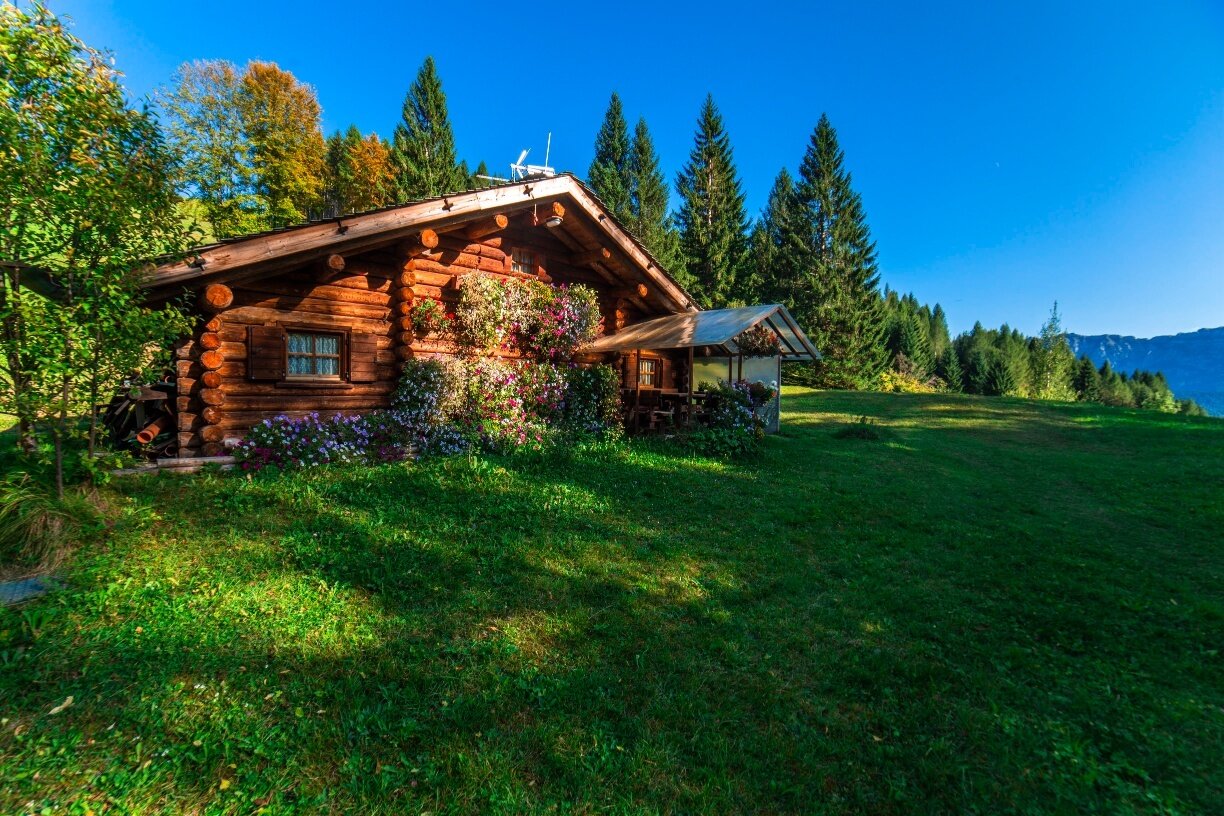 Img2 611365903 Default Variant