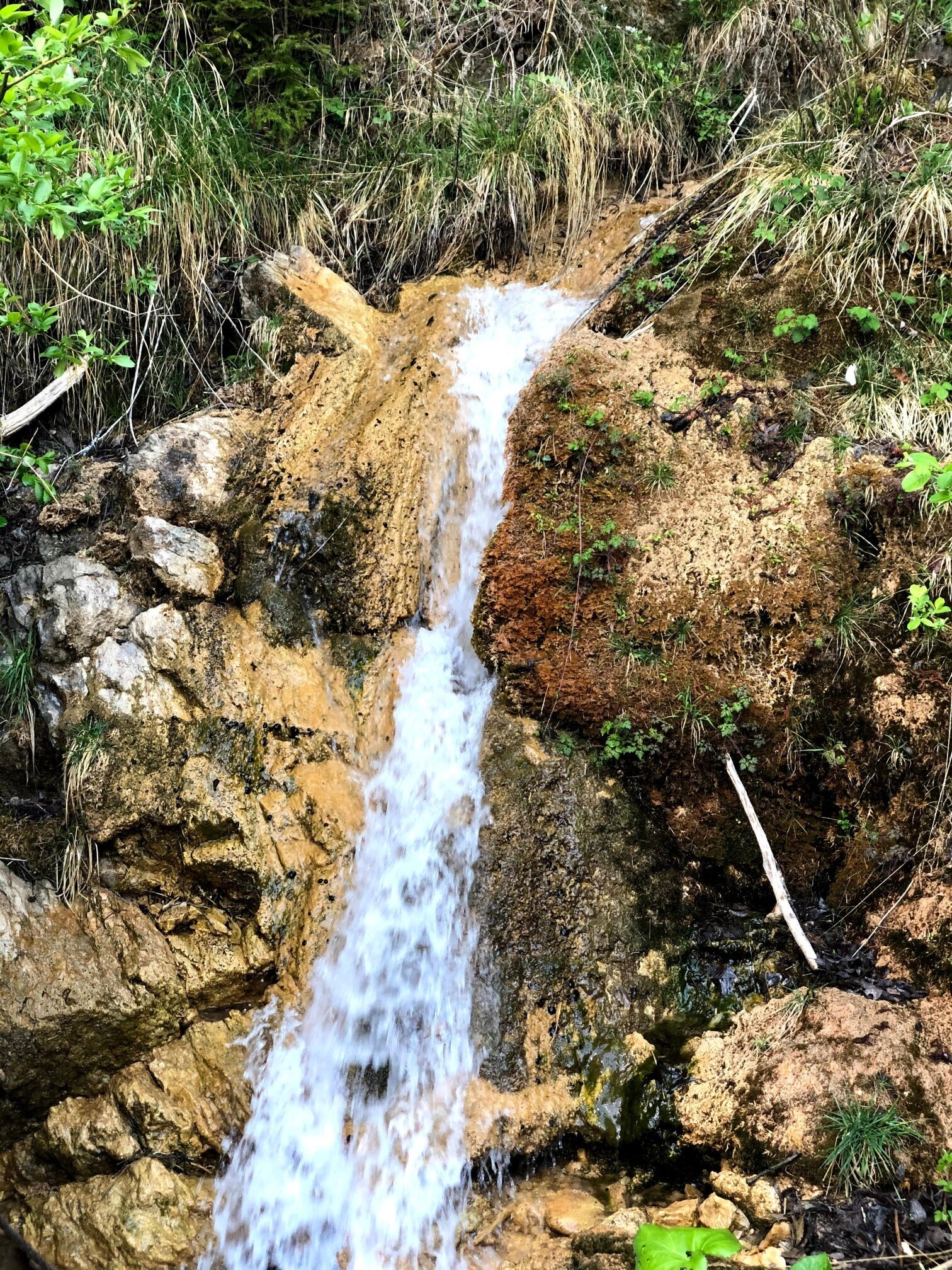 Img2 611365904 Default Variant