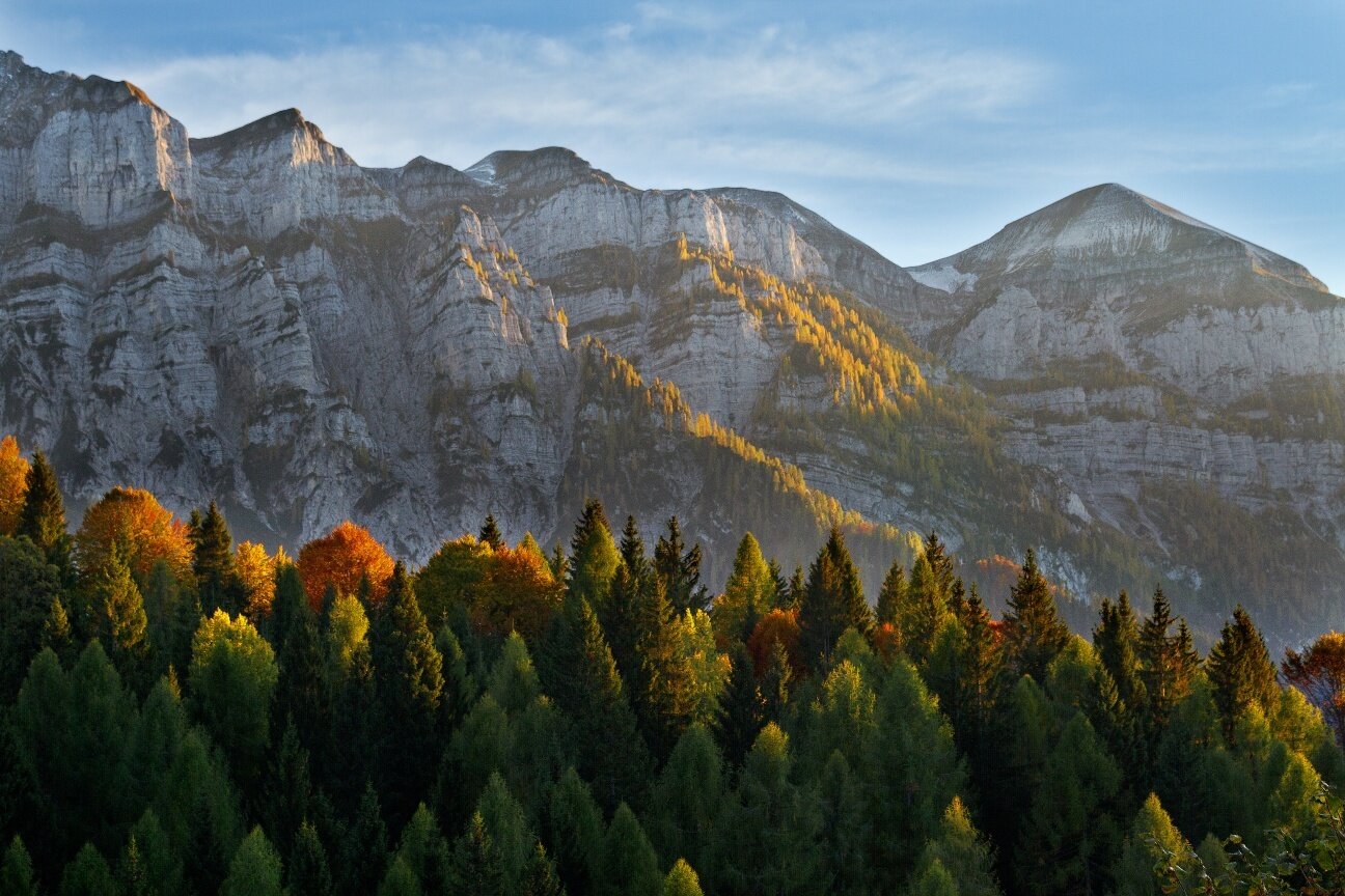 Img2 605478235 Default Variant