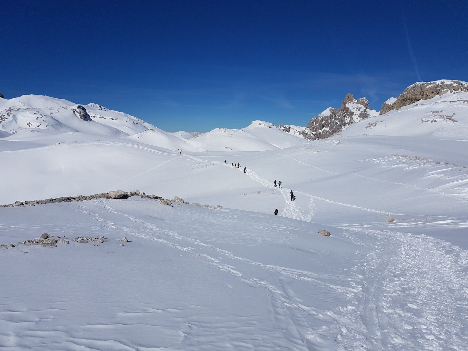 Img2 75218068 Default Variant