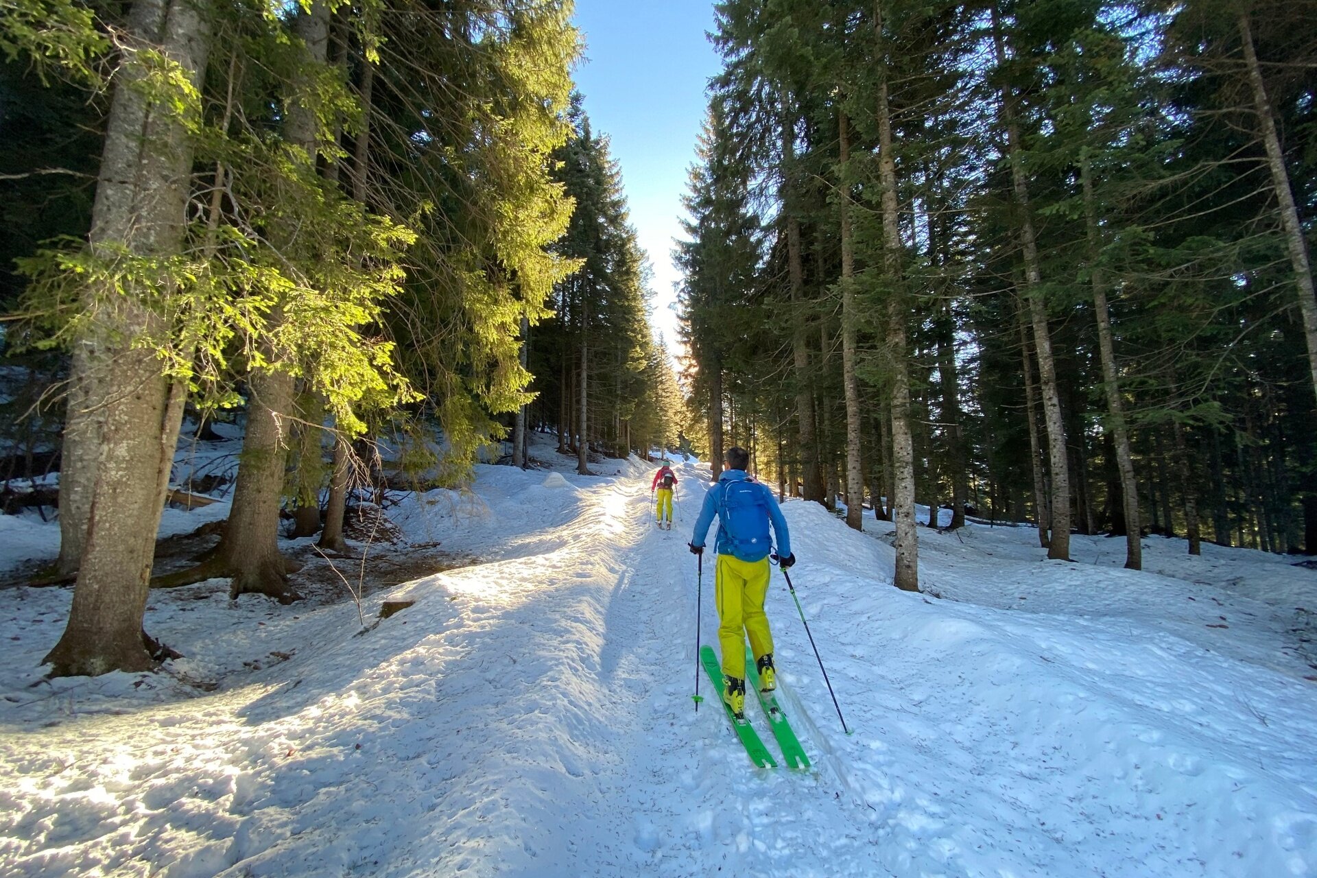 Rifugio Refavaie– Malga Fossernica di dentro – Cima dei Paradisi