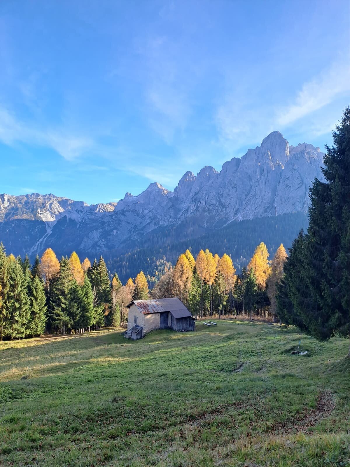 Img2 627746945 Default Variant