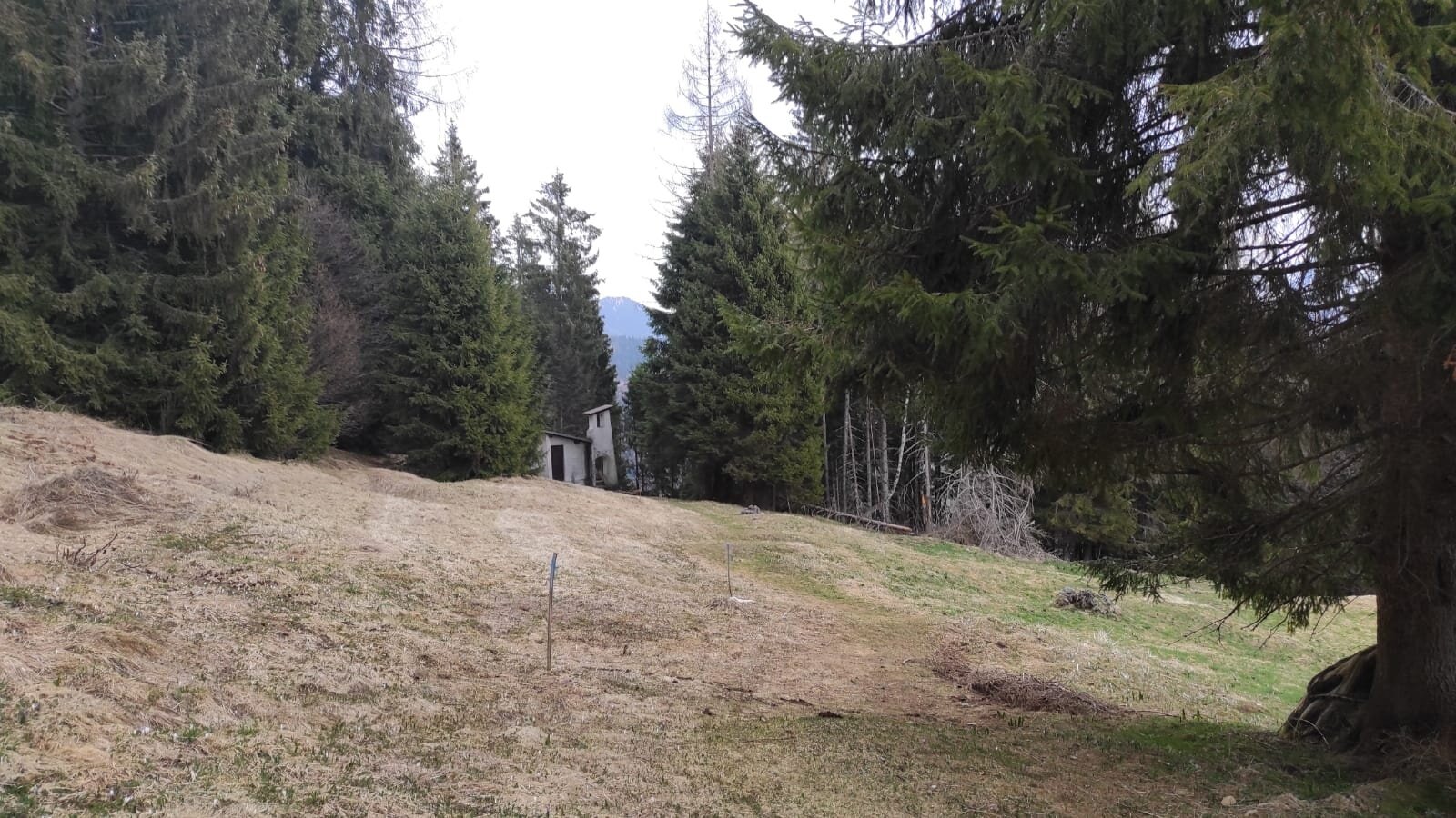 Img2 627746950 Default Variant