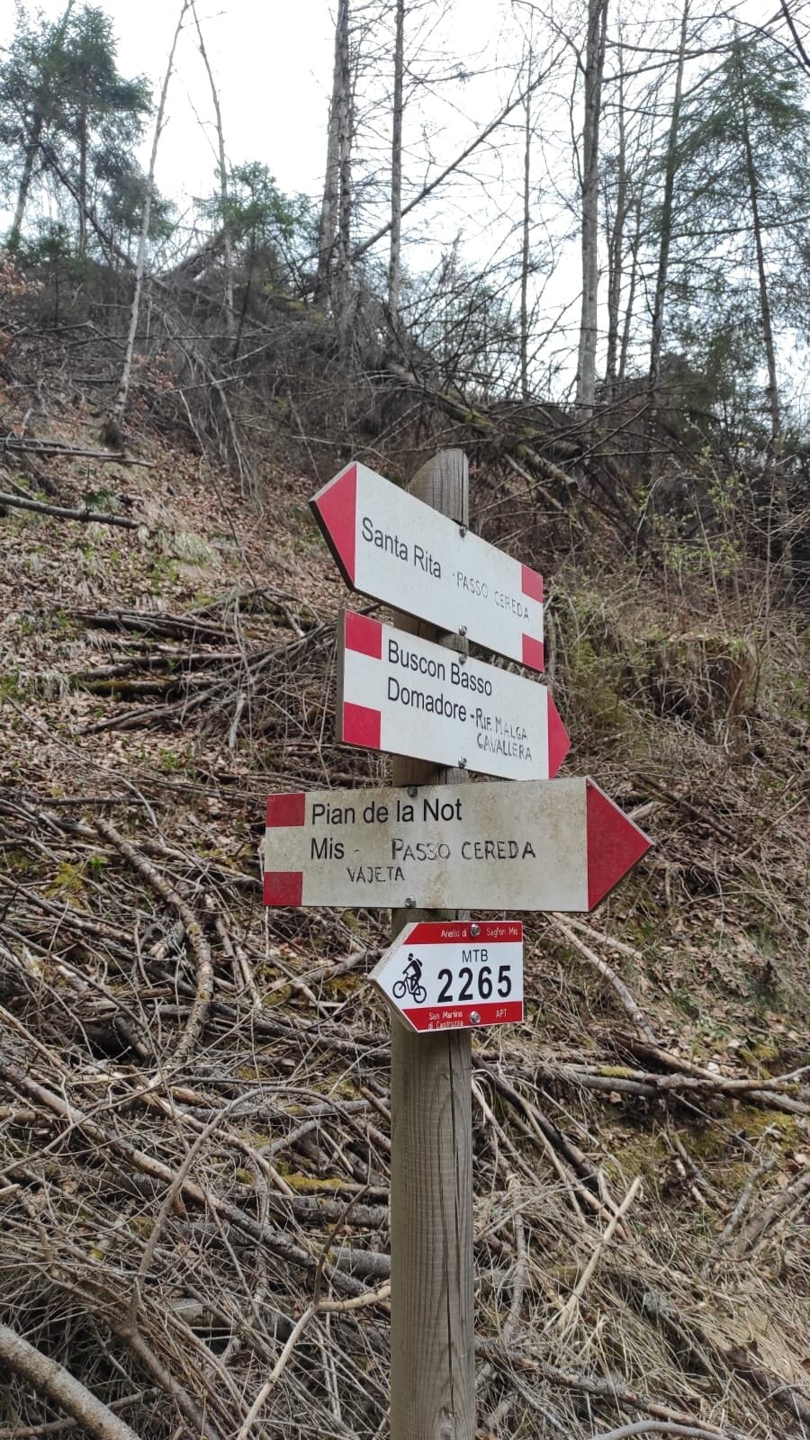 Img2 627746951 Default Variant