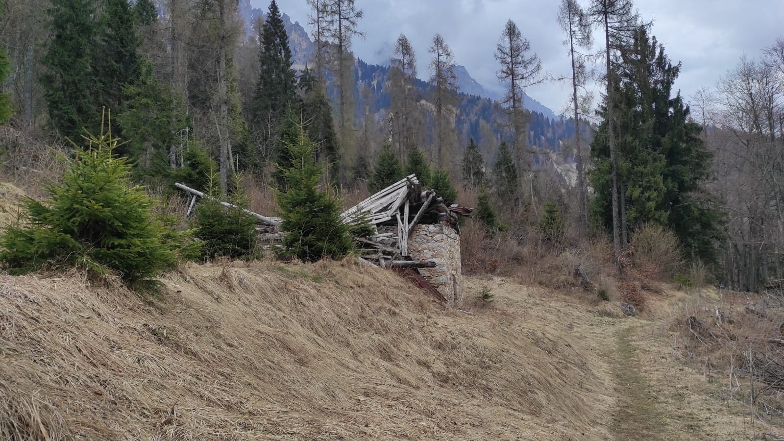 Img2 627746953 Default Variant