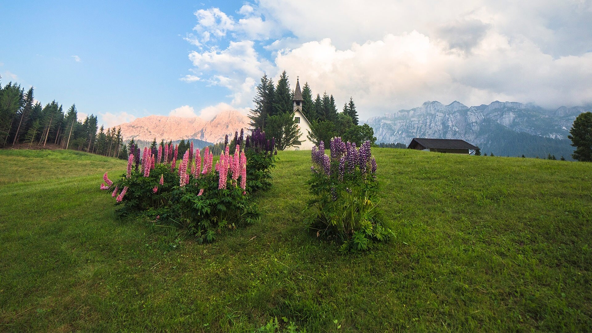 San Giovanni - Falasorni