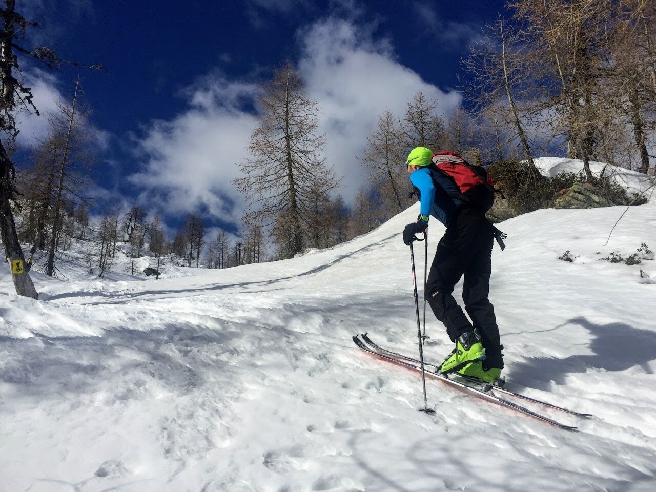 San Martino - Malga Tognola nach Cima Tognola