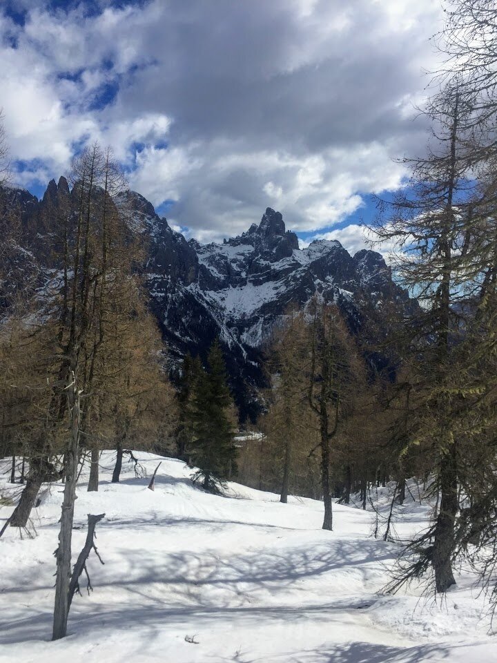 Img2 75218498 Default Variant