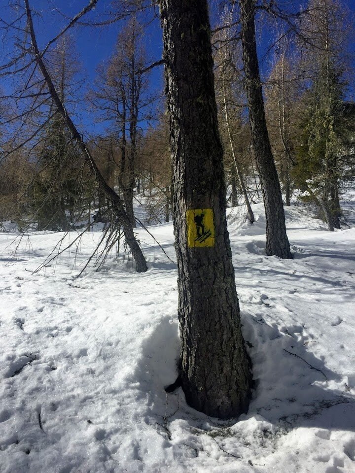 Img2 75218499 Default Variant