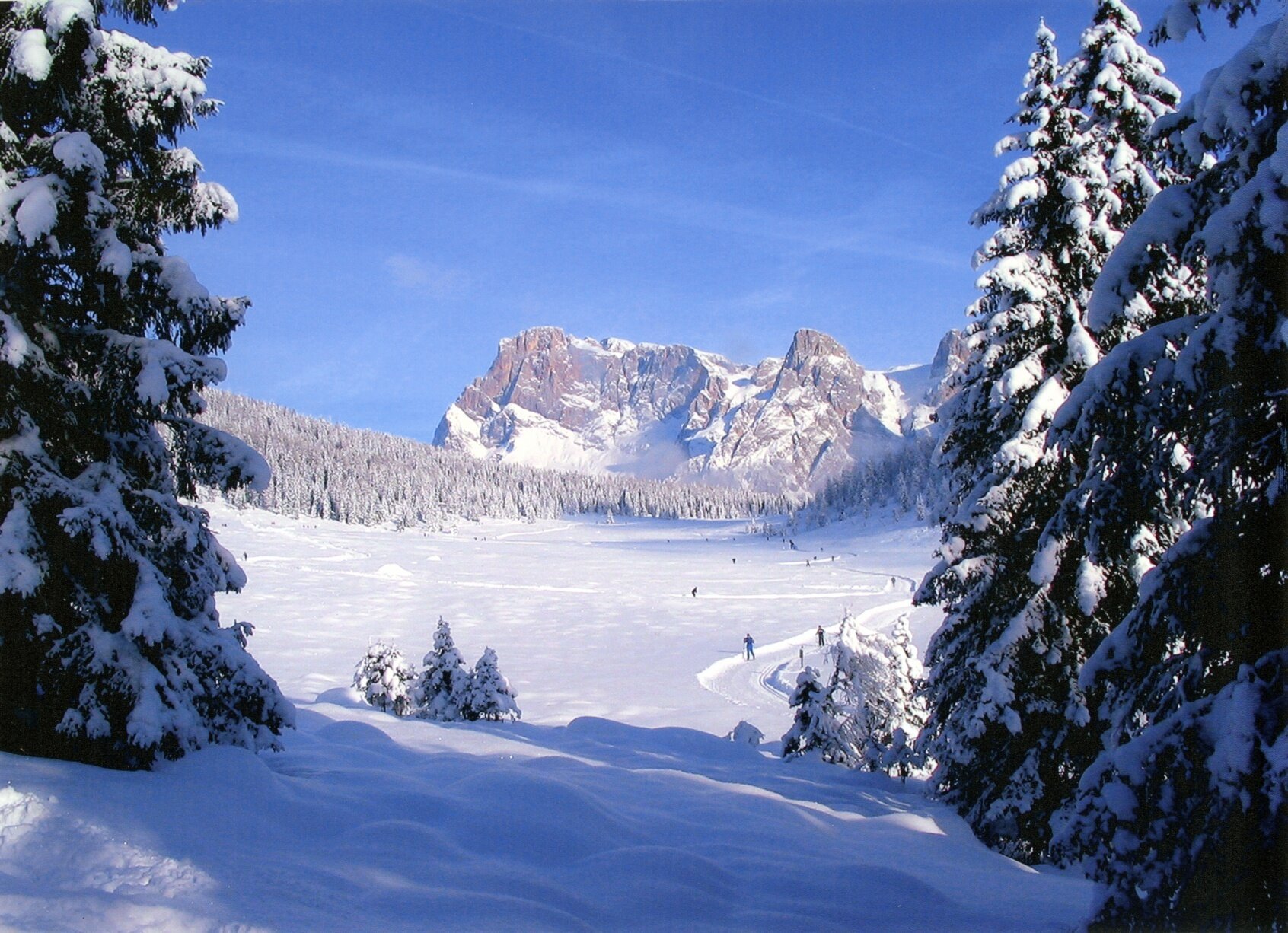 Scialpinismo Cima d'Arzon