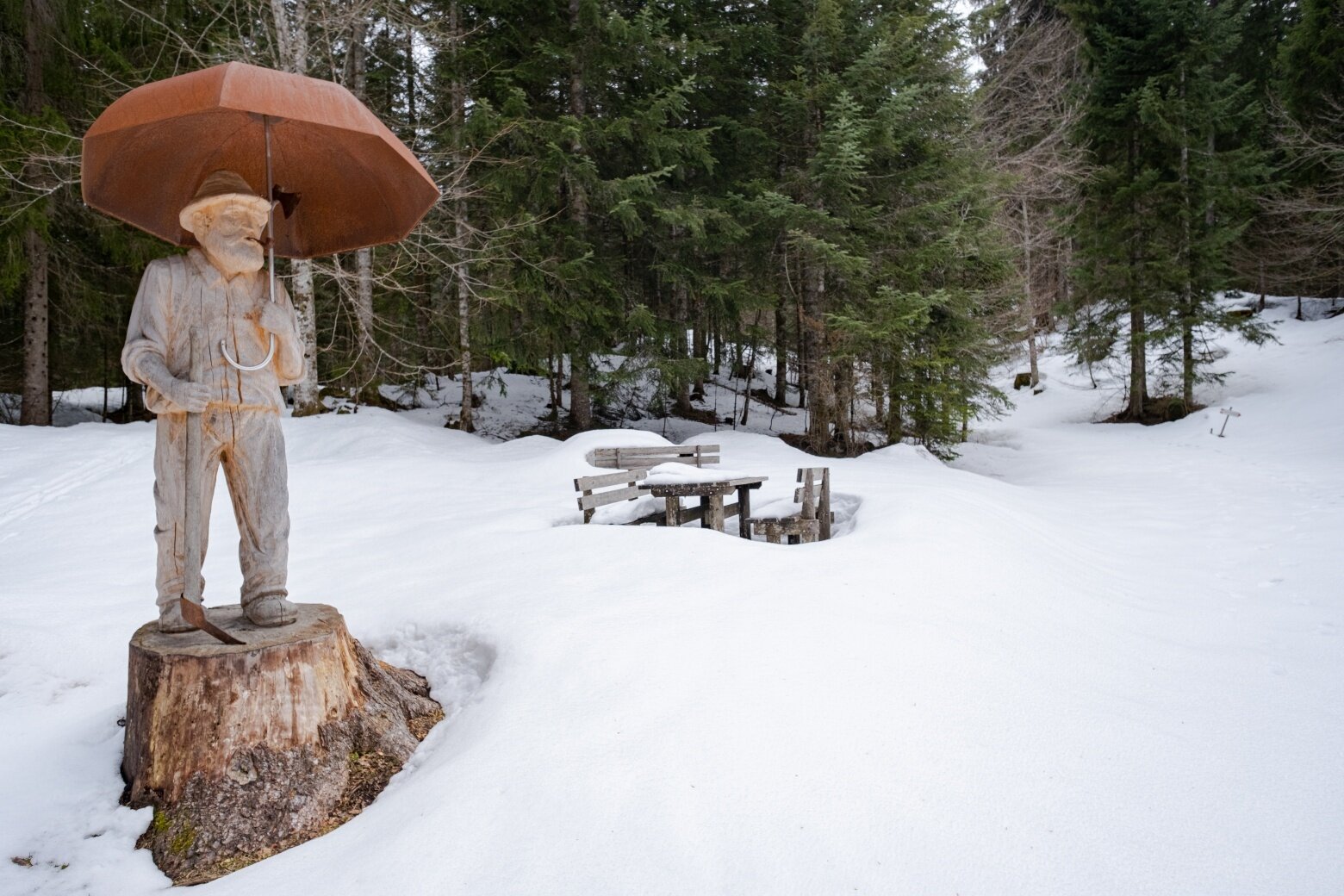 Sentiero degli Abeti Giganti