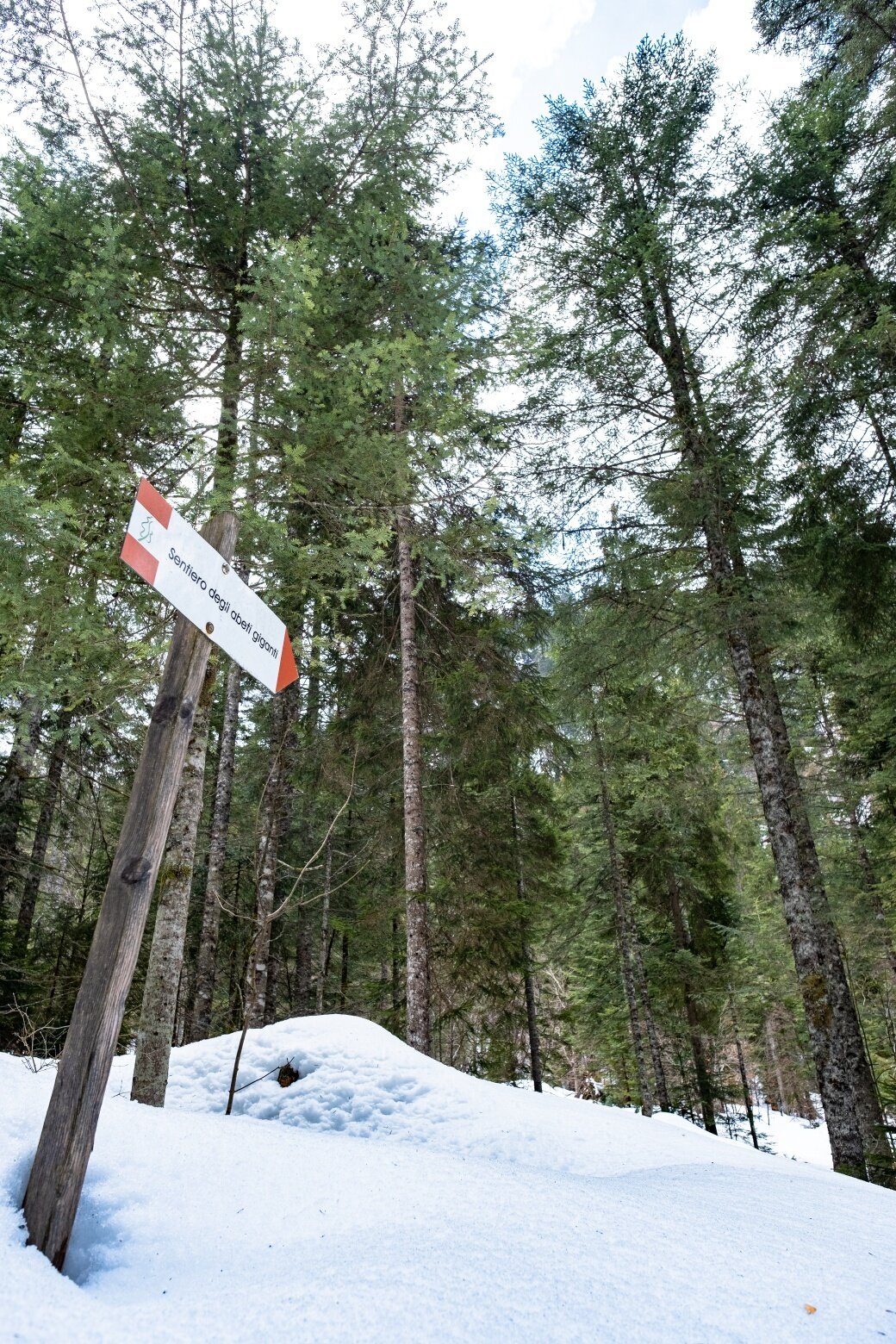 Img2 75358275 Default Variant