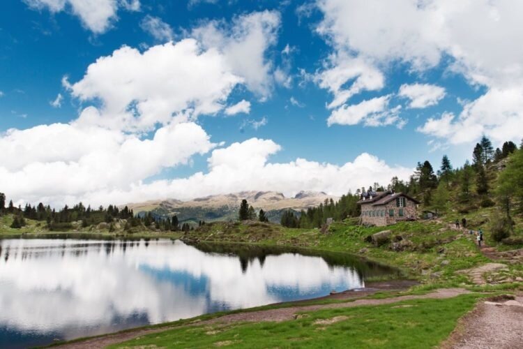 Img2 19966034 Default Variant