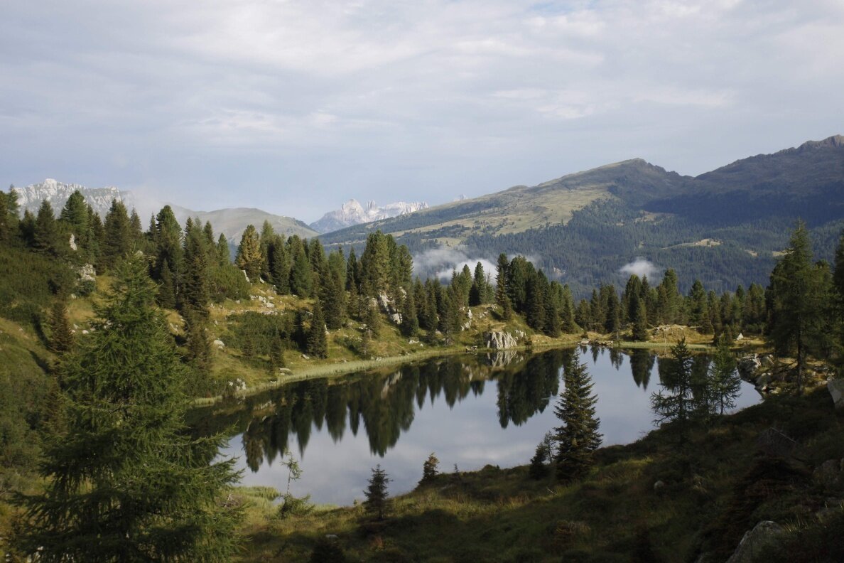 Img2 611211772 Default Variant