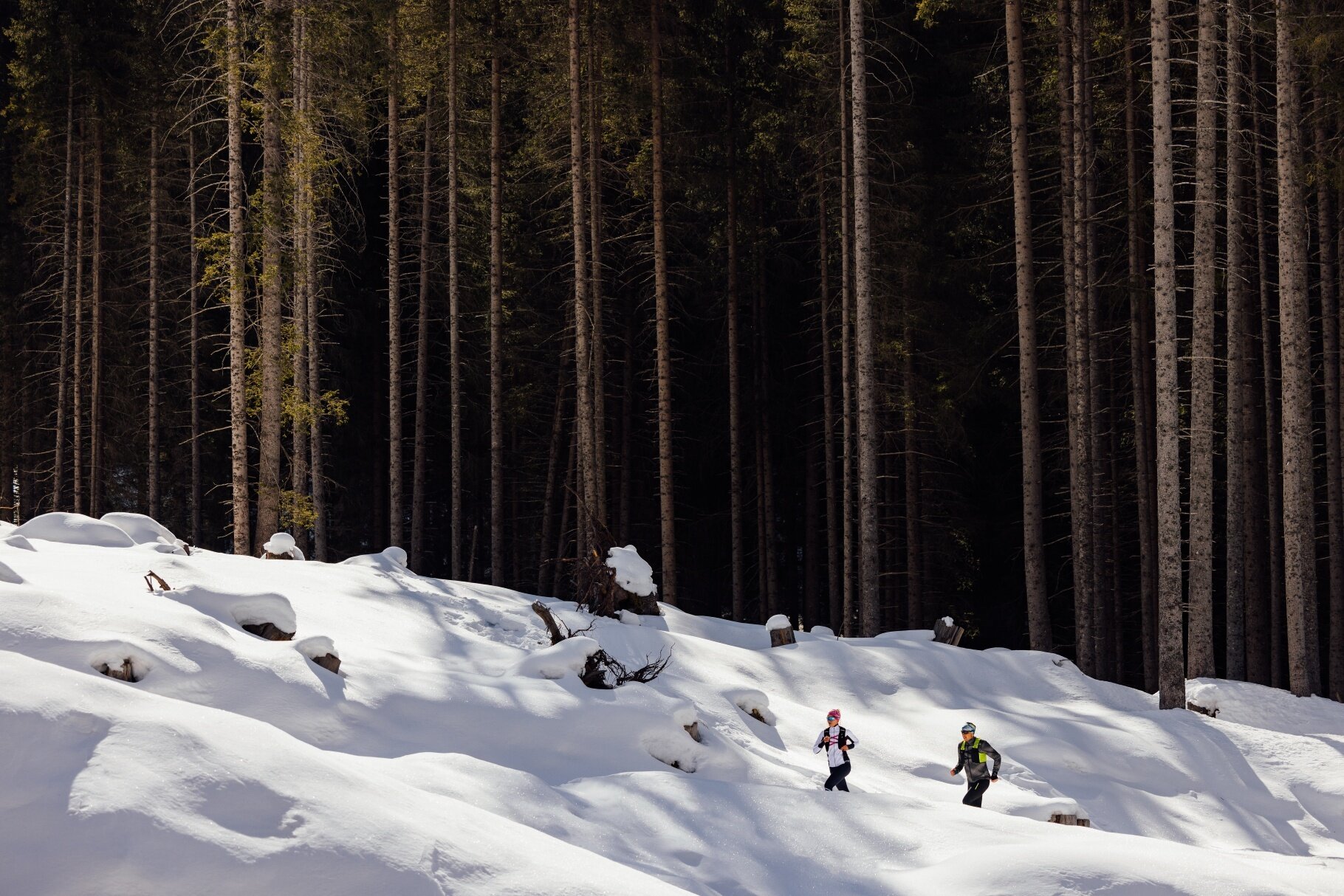 Img2 75938847 Default Variant