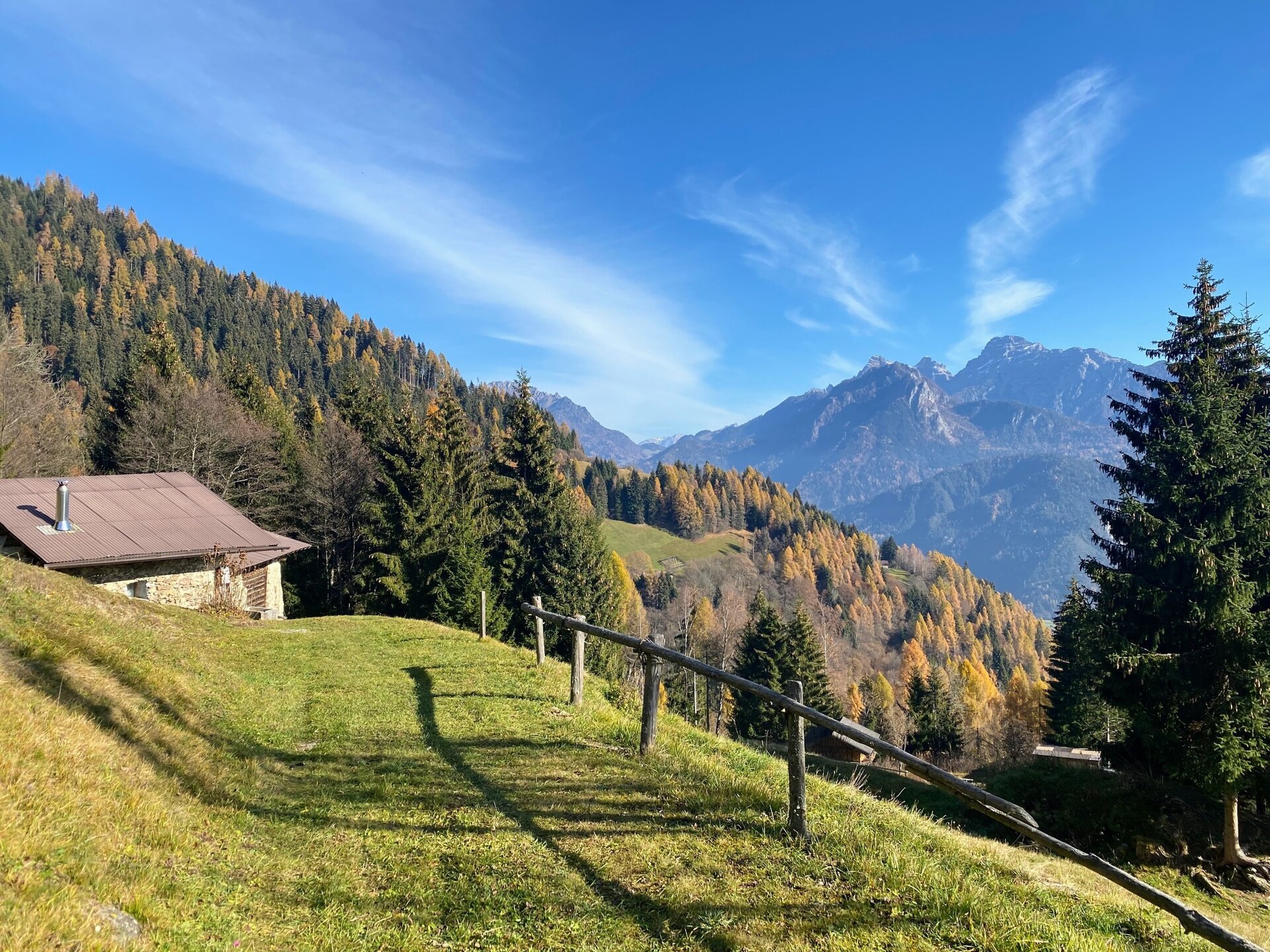 Img2 611571787 Default Variant