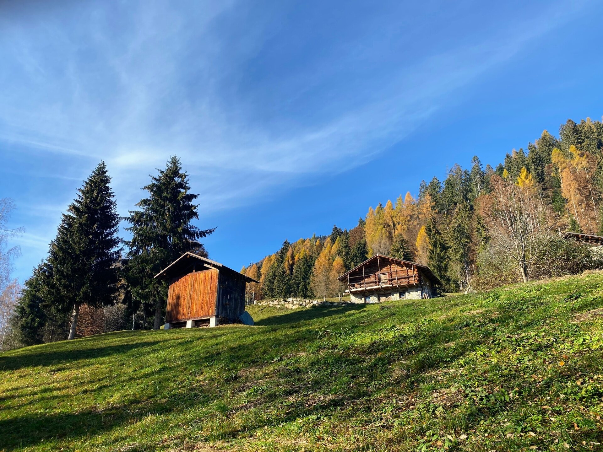 Img2 611571788 Default Variant