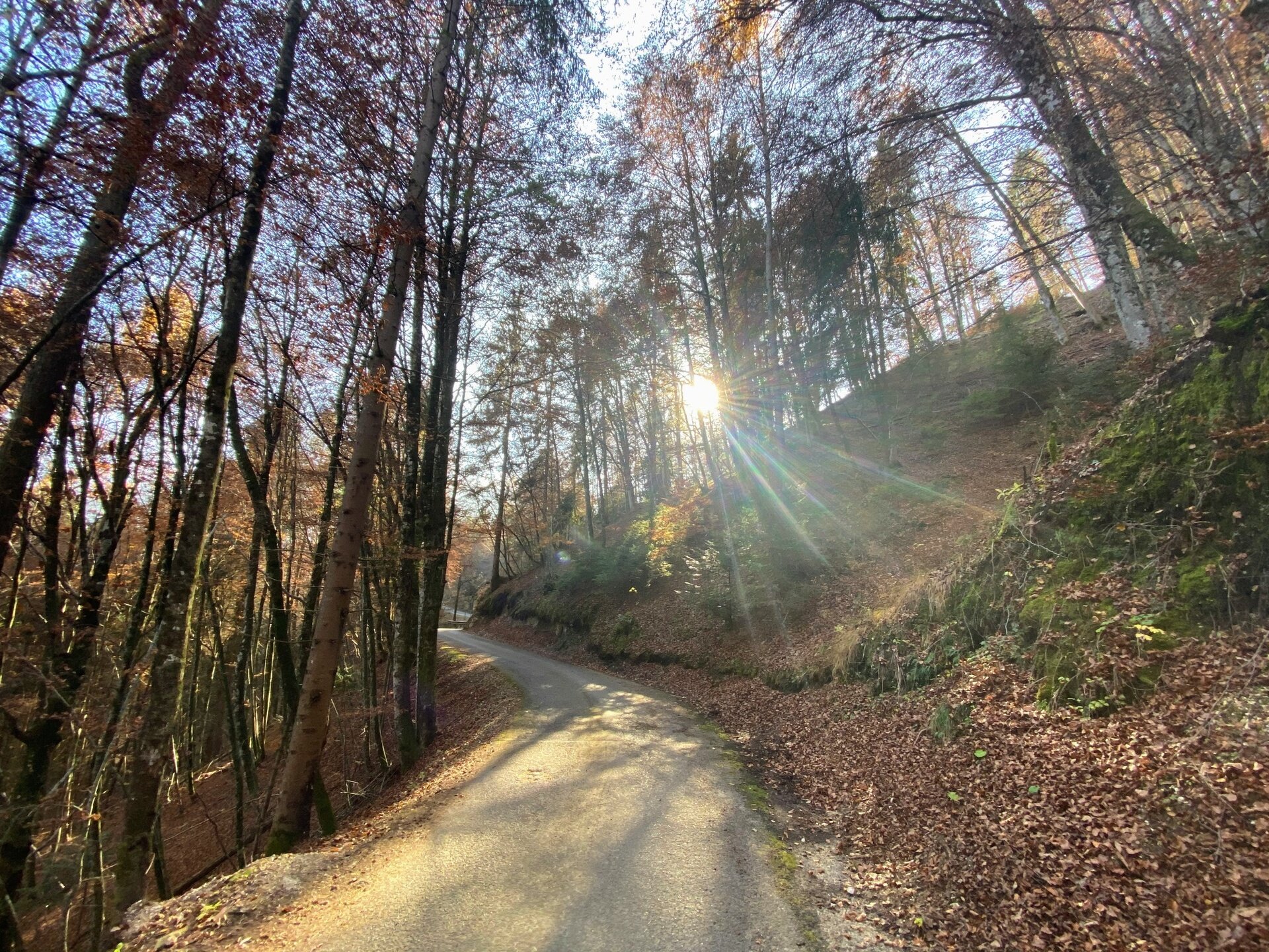 Img2 611571790 Default Variant