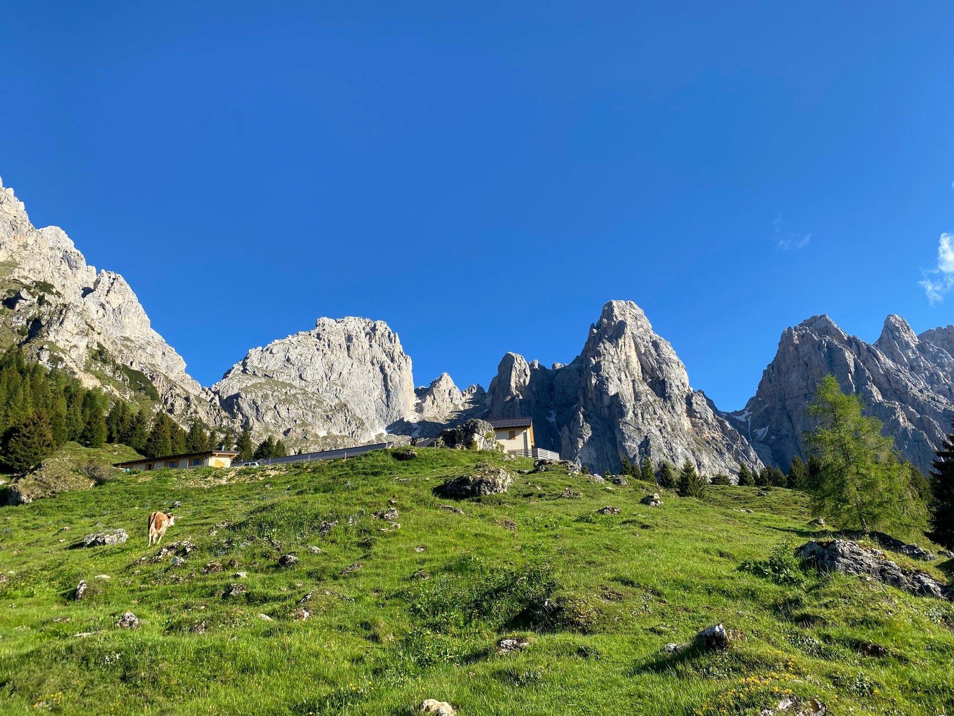 Img2 611849139 Default Variant