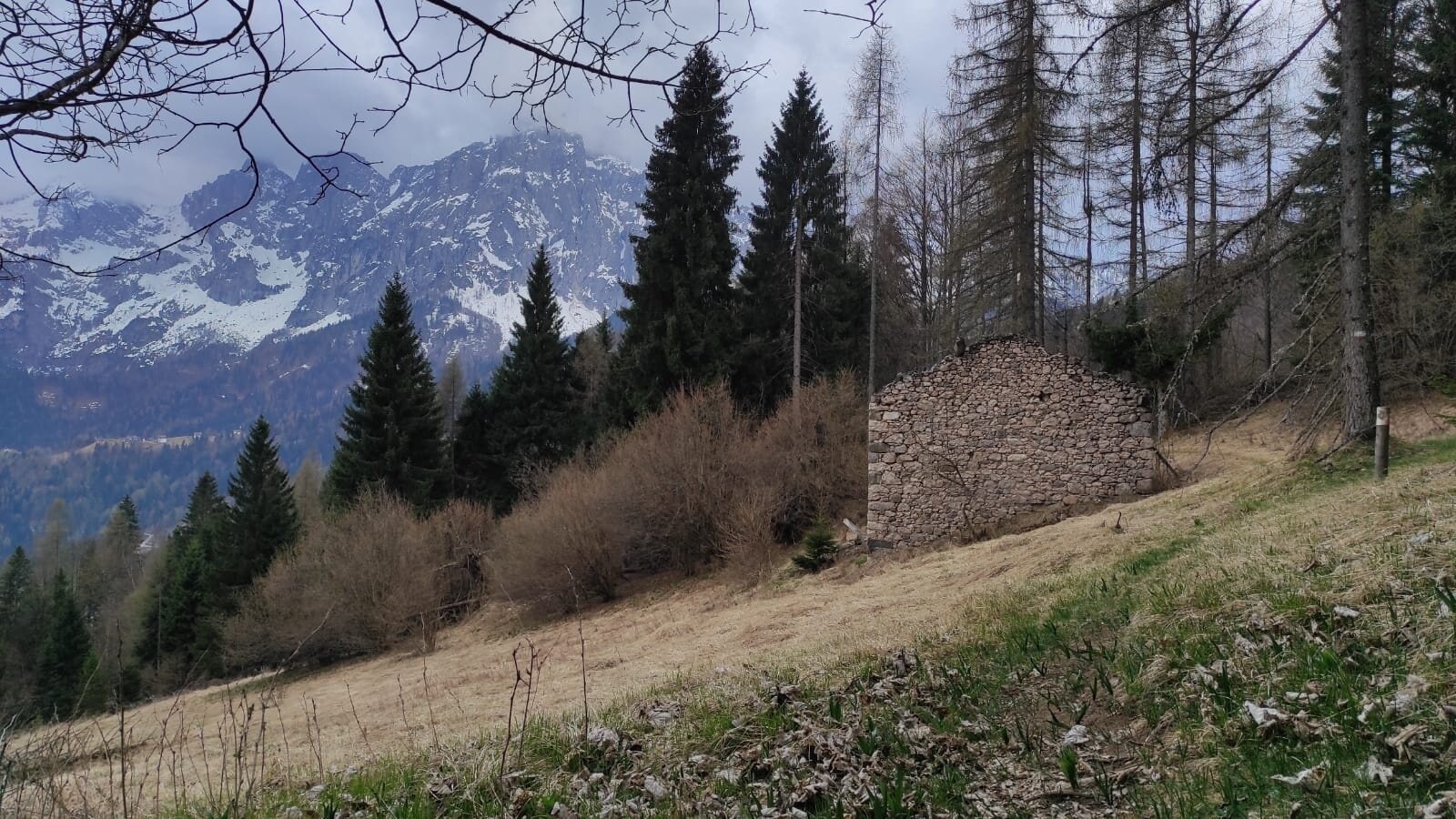 Img2 627746954 Default Variant