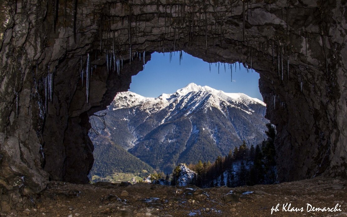 Img2 31697815 Default Variant