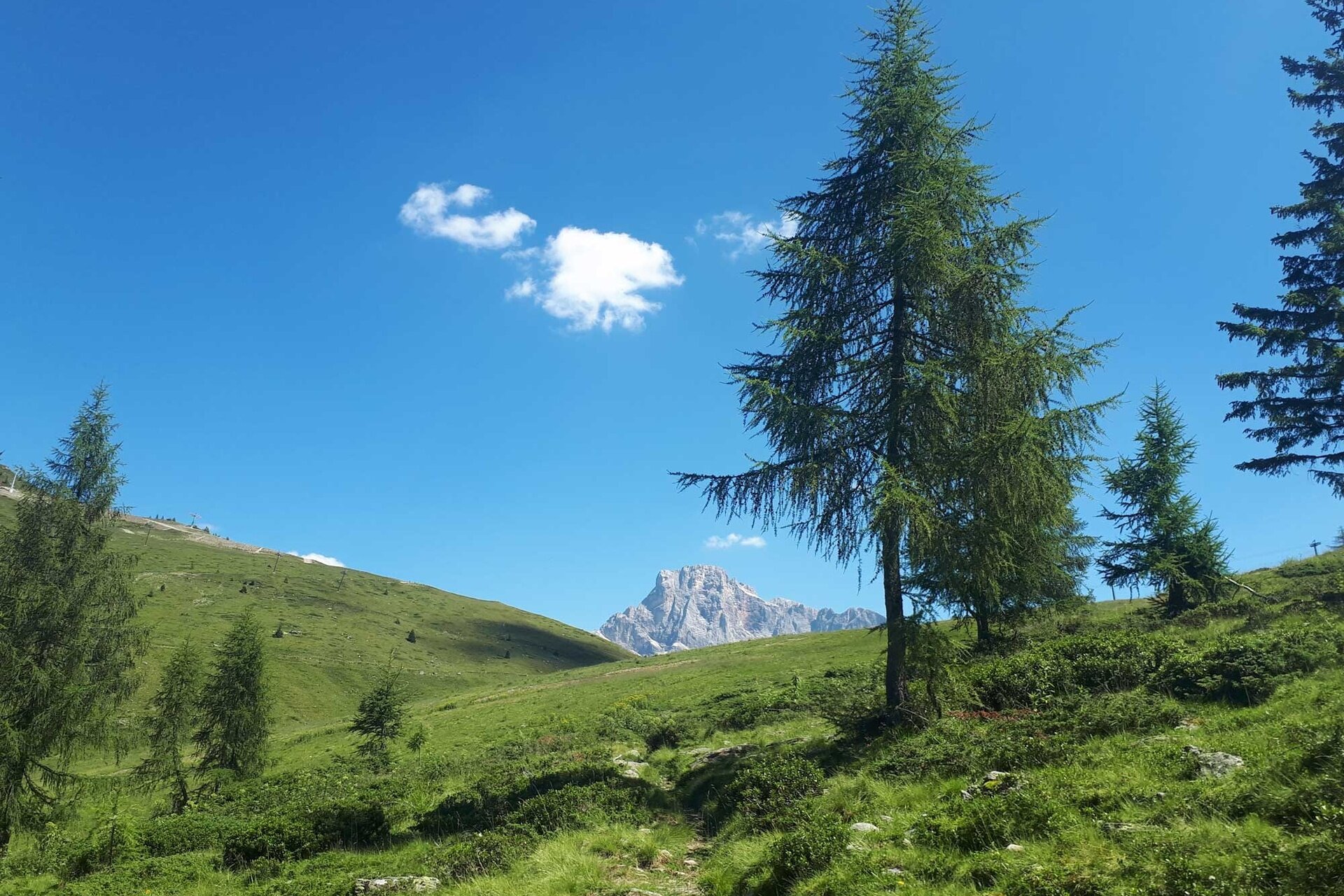 Panorama Trek Alpe Tognola