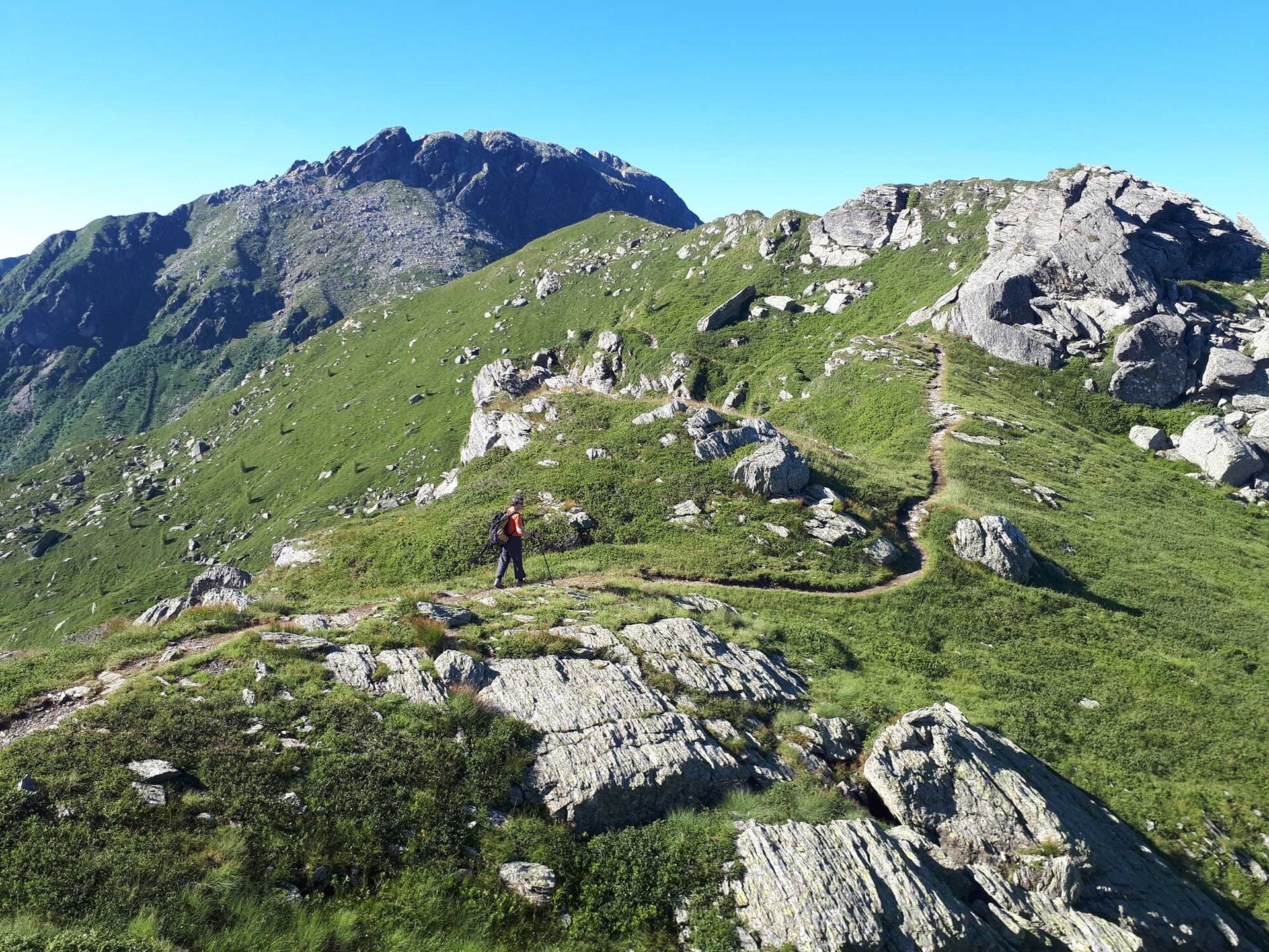 Img2 52469643 Default Variant