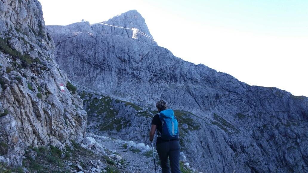 Img2 32479270 Default Variant