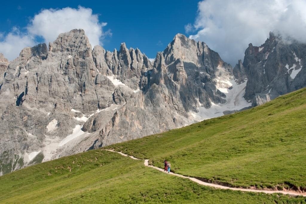 Img2 33060453 Default Variant