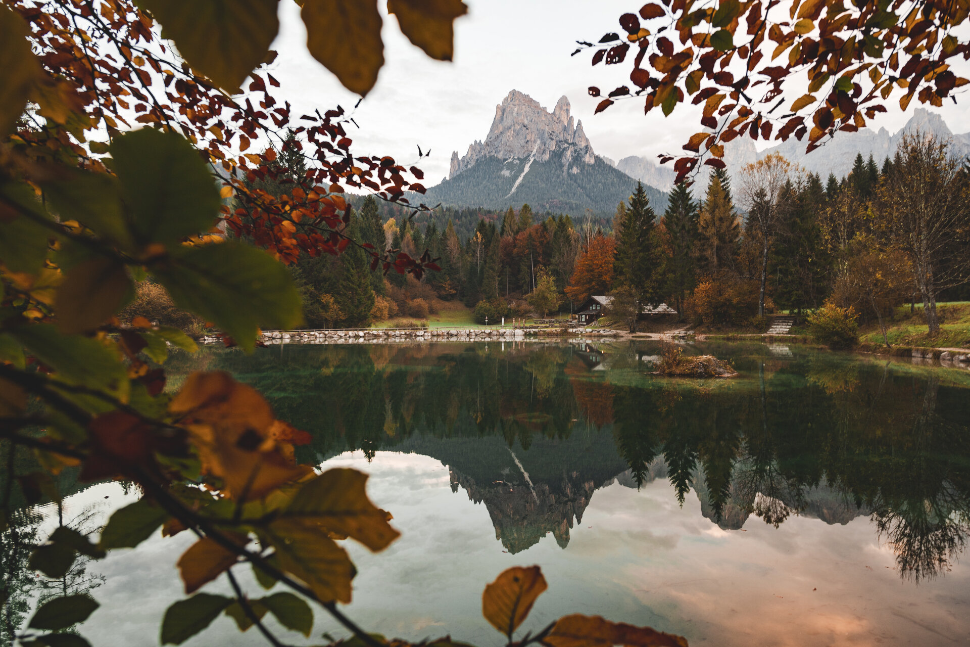 Content Dam Org 0 Images Full Rights Natura 39795