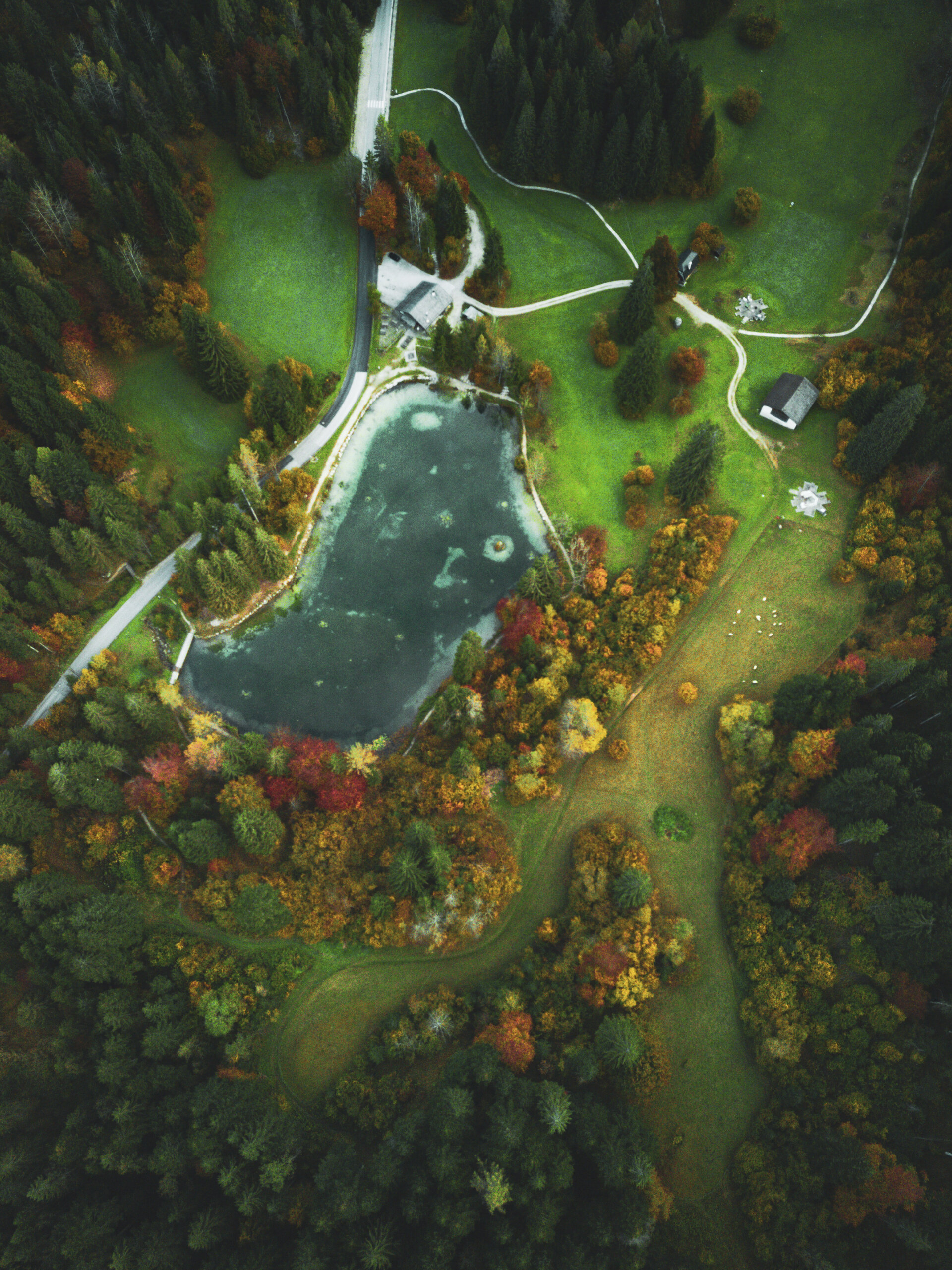 Content Dam Org 0 Images Full Rights Natura 39808