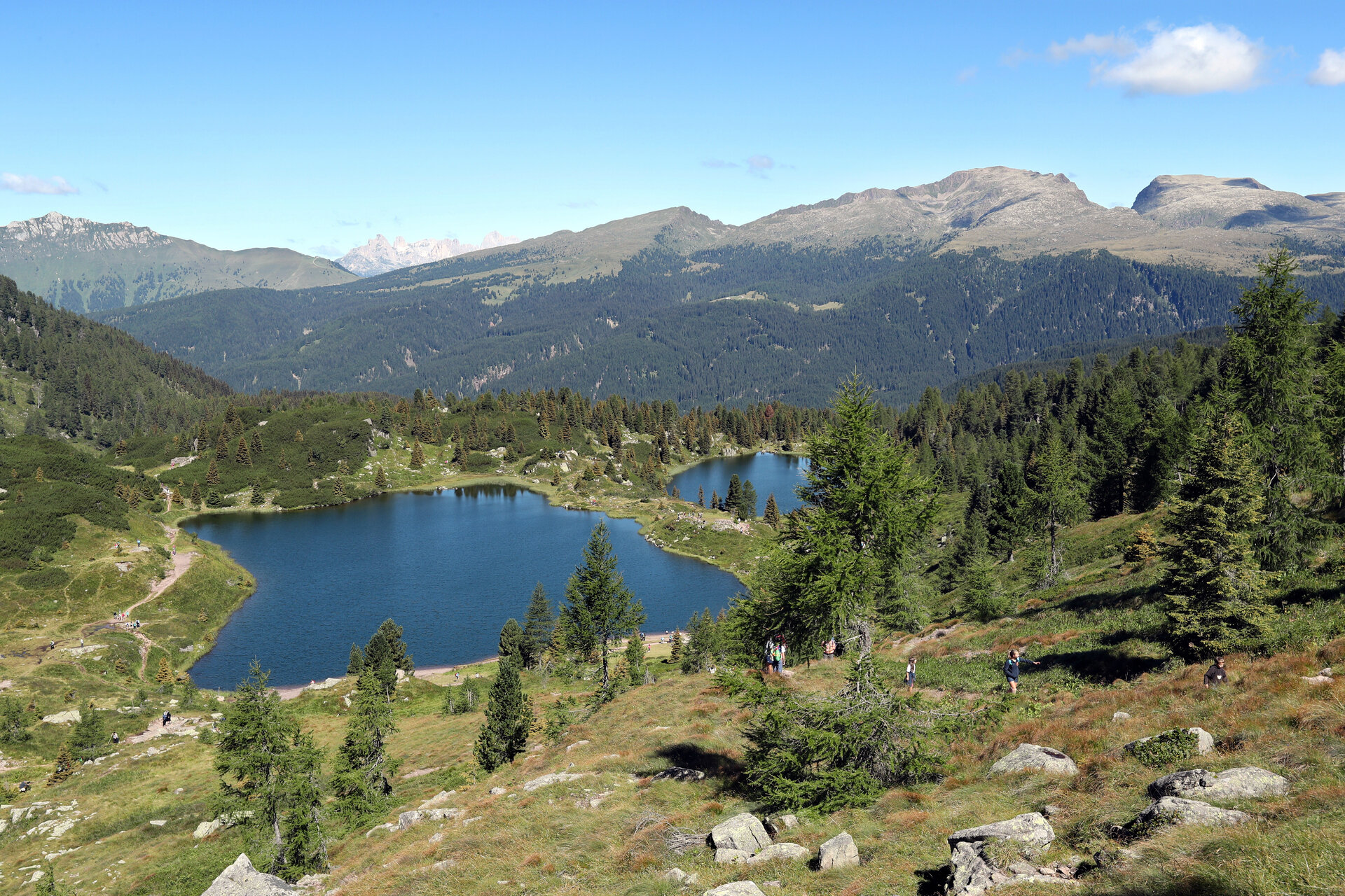 Content Dam Org 0 Images Full Rights Natura 32835