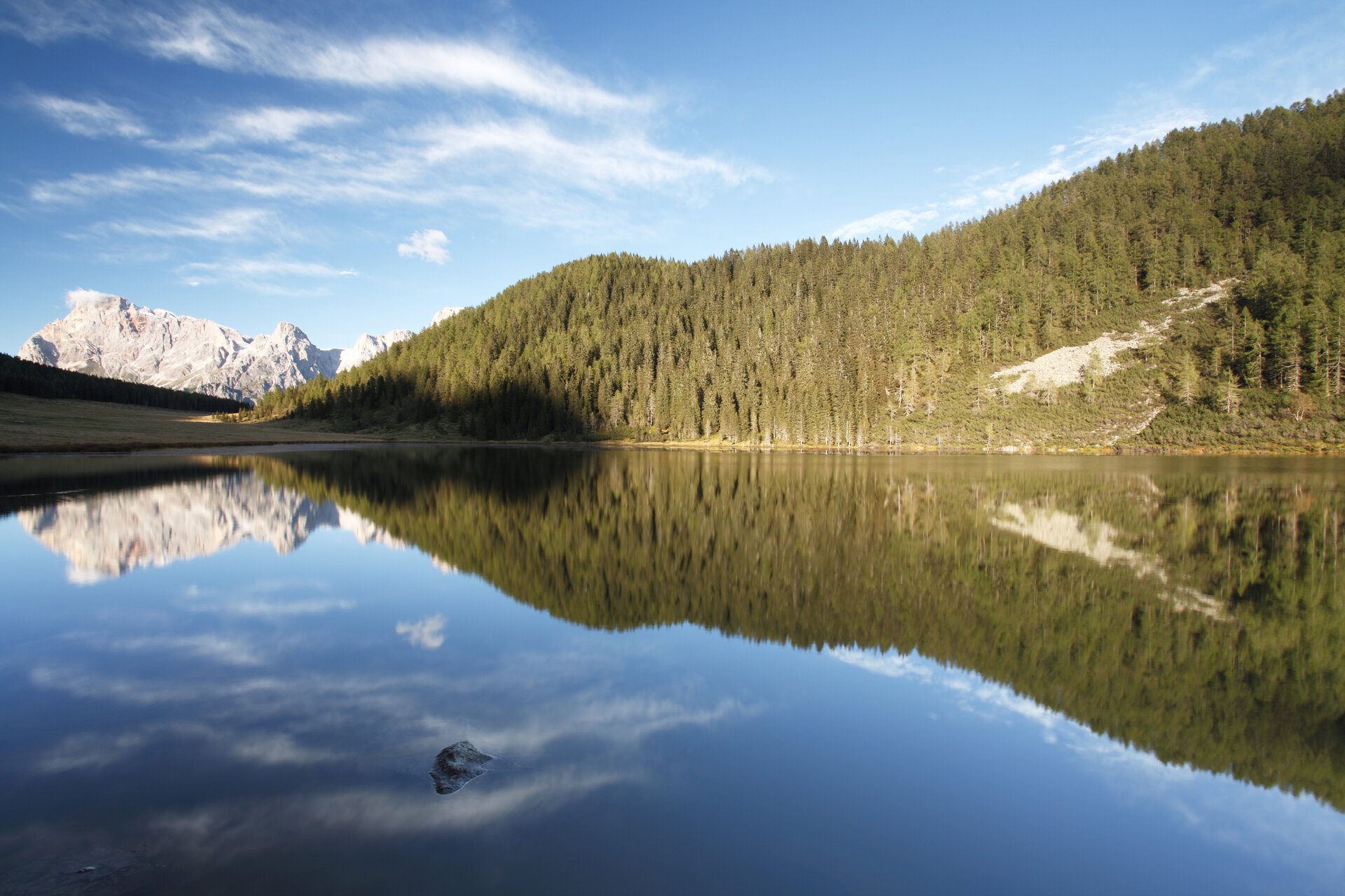 Content Dam Org 0 Images Full Rights Natura 25680