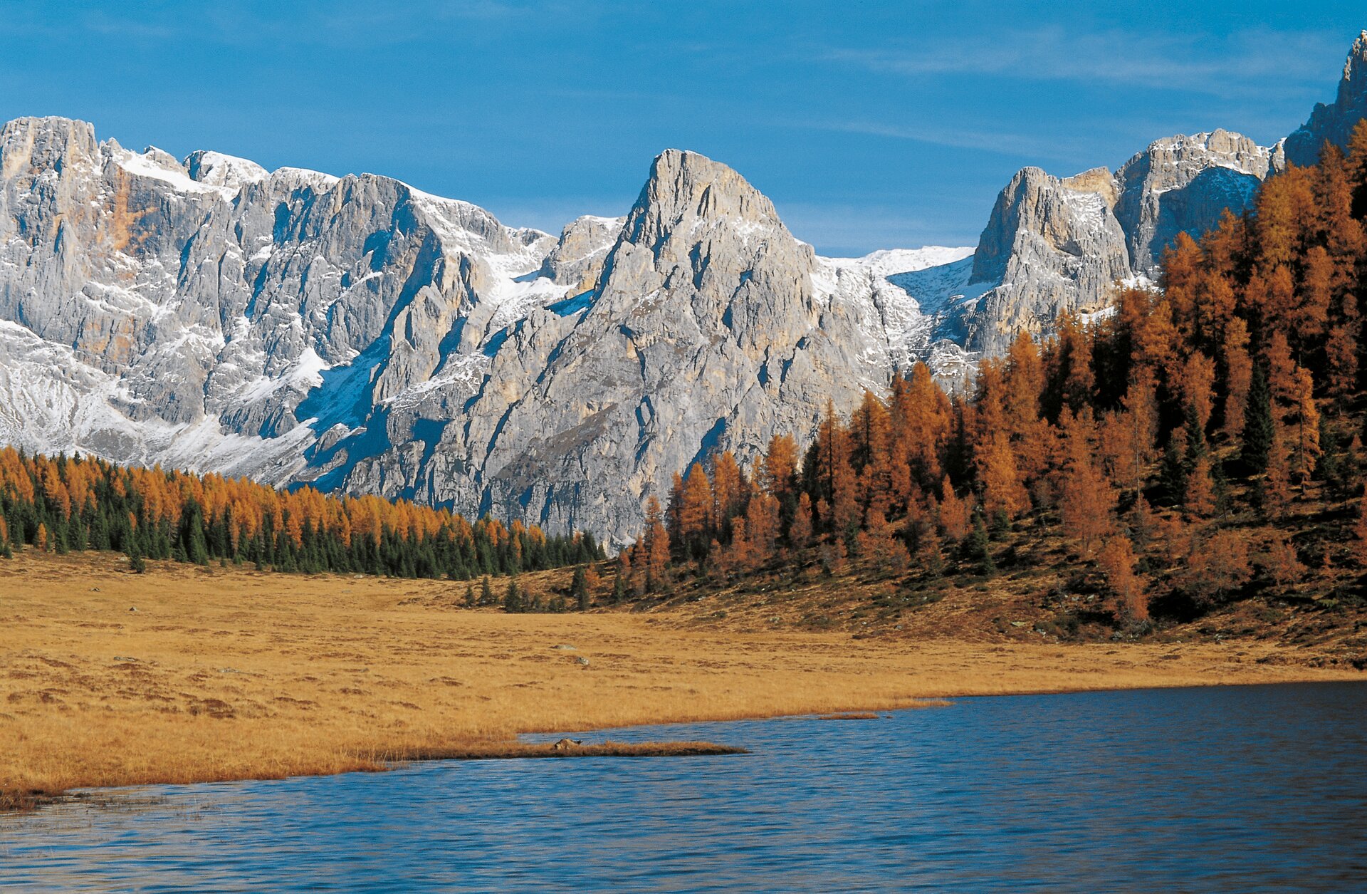 Content Dam Org 0 Images Full Rights Natura 3887