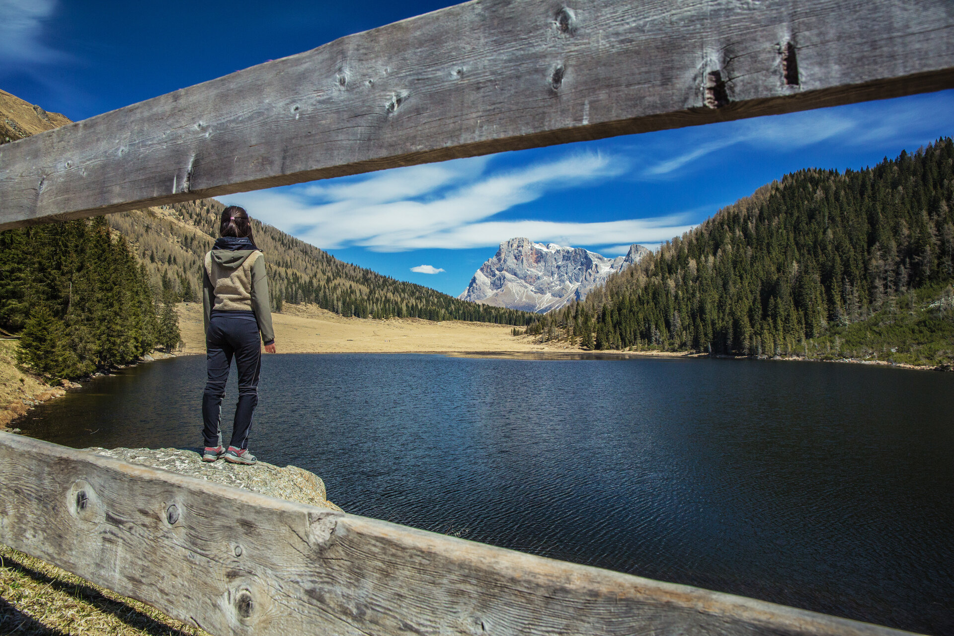 Content Dam Org 0 Images Full Rights Natura 32349