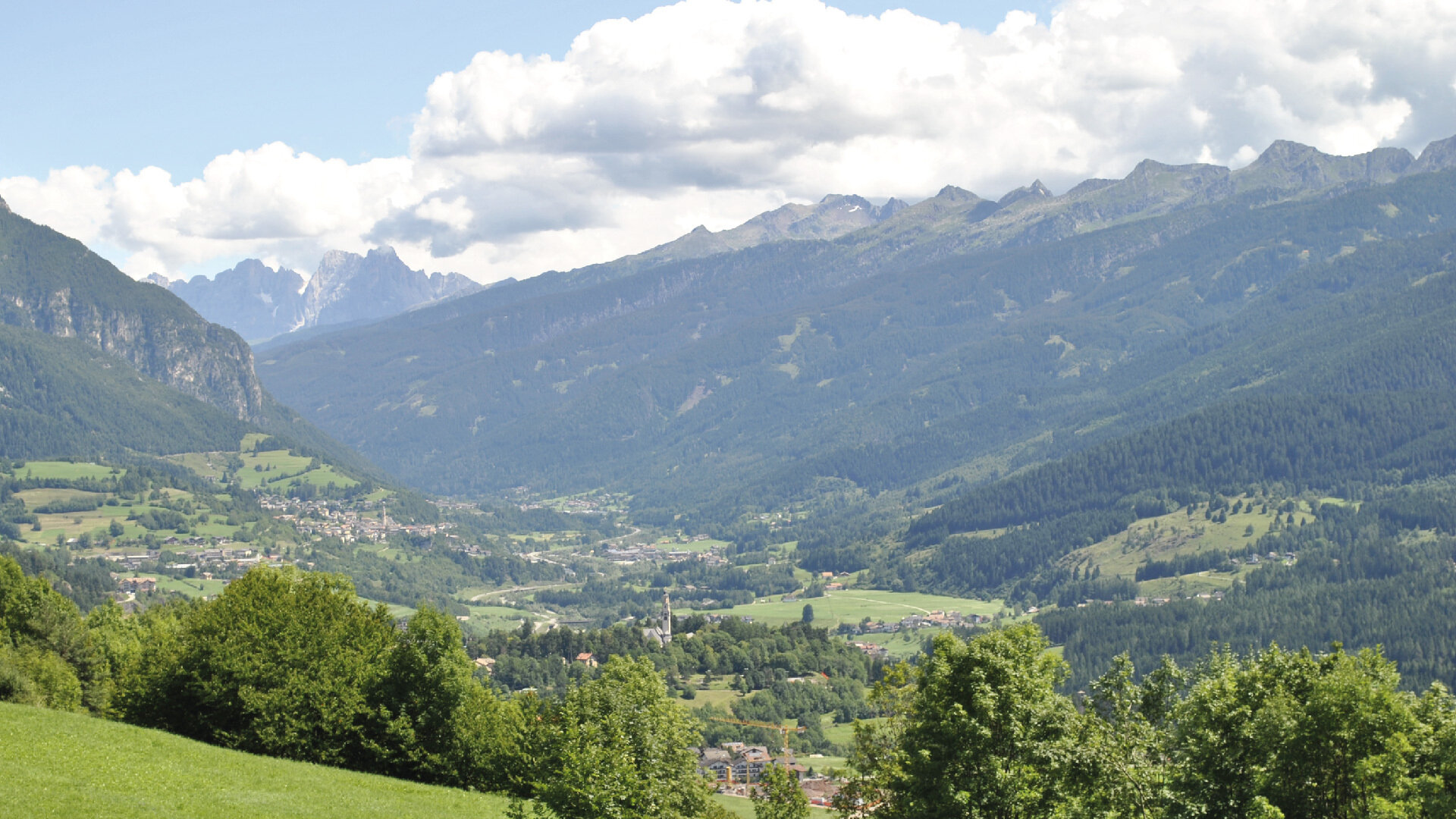 Content Dam Org 1 Images Full Rights Natura Catena Del Lagorai Tavola Disegno 1