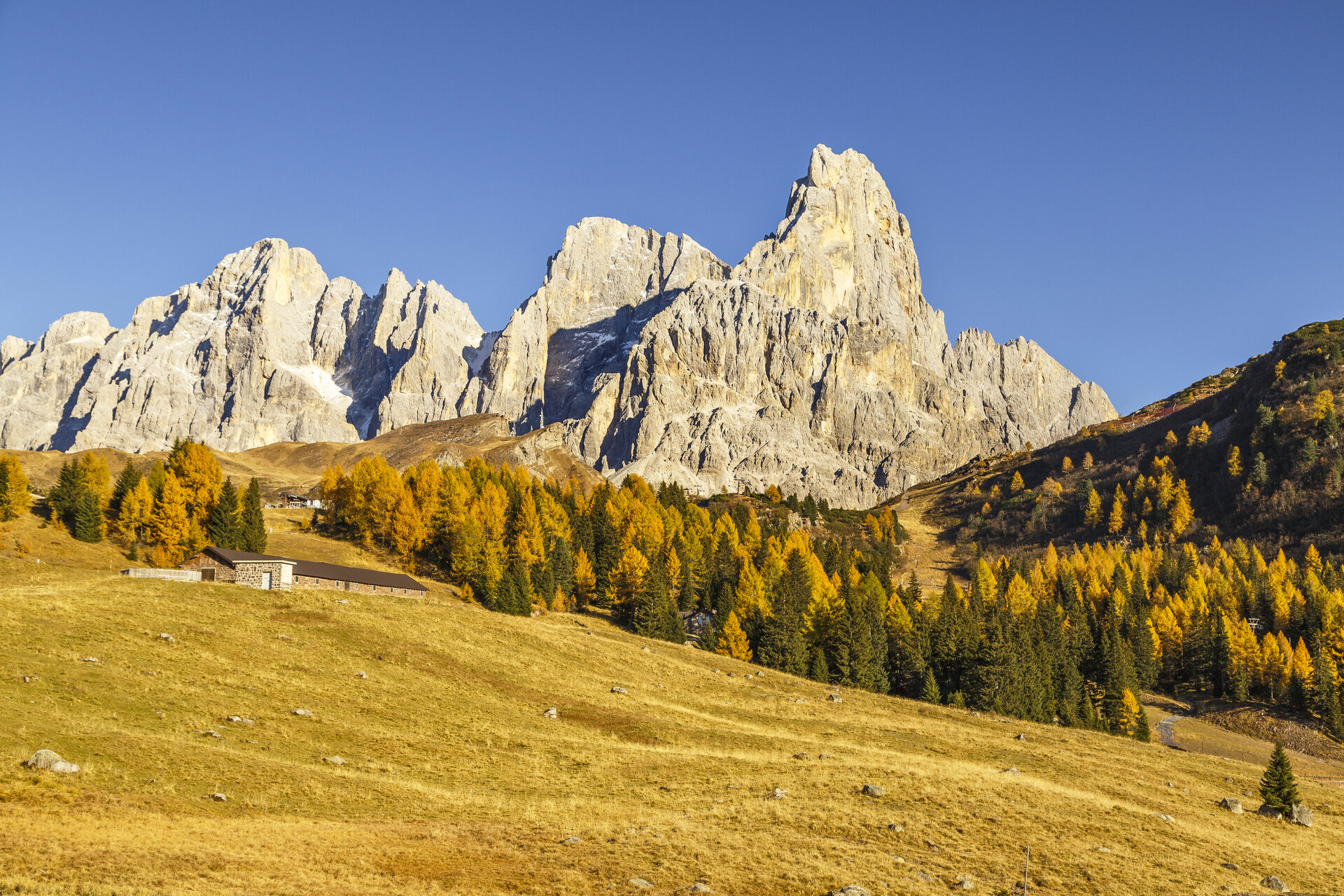 Content Dam Org 0 Images Full Rights Natura 38305