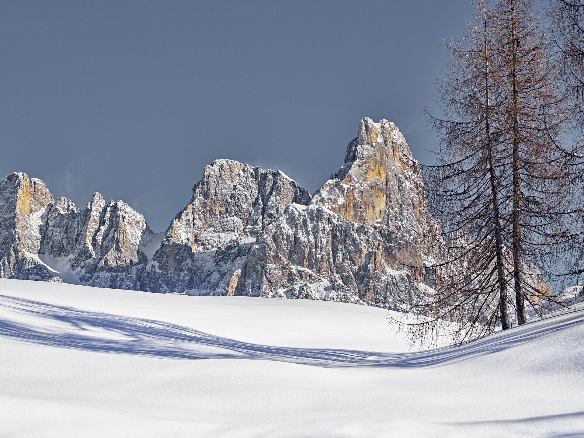 Content Dam Org 0 Images Full Rights Natura 36822