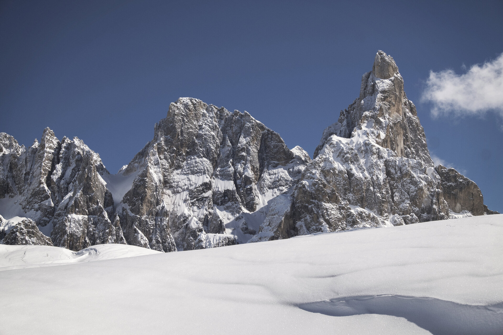 Content Dam Org 0 Images Full Rights Natura 36376