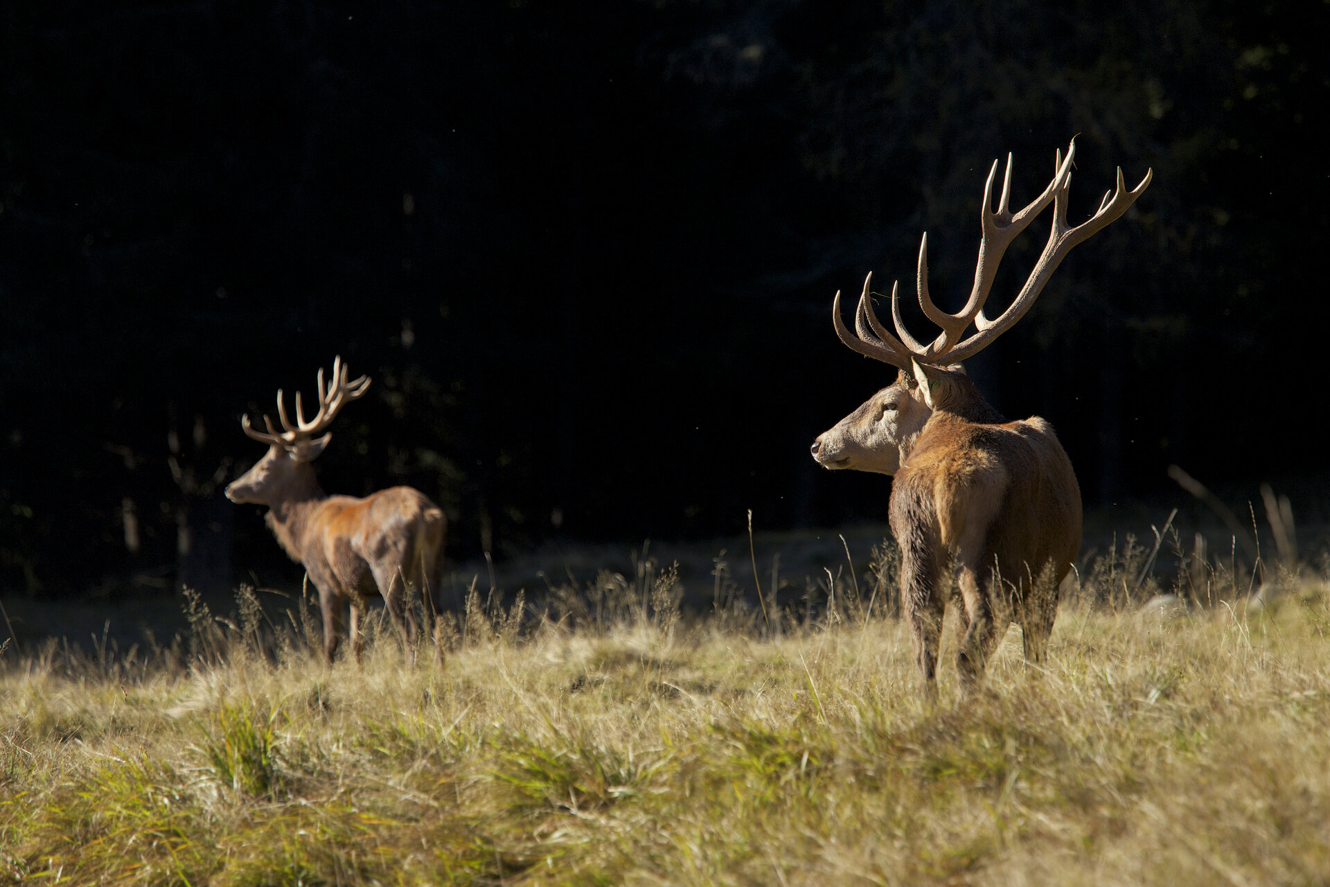 Content Dam Org 0 Images Full Rights Natura 28526