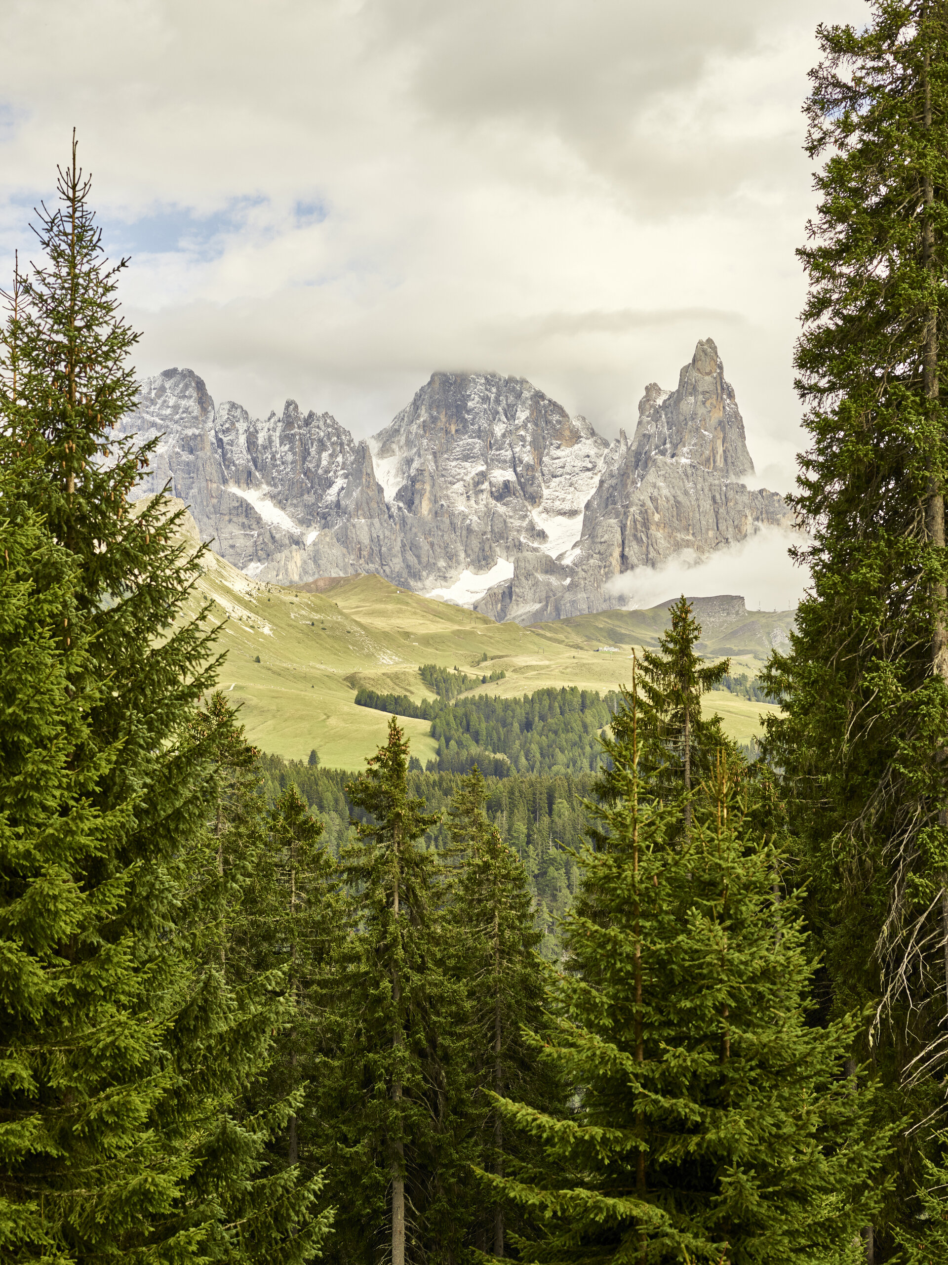 Content Dam Org 0 Images Full Rights Natura 35164