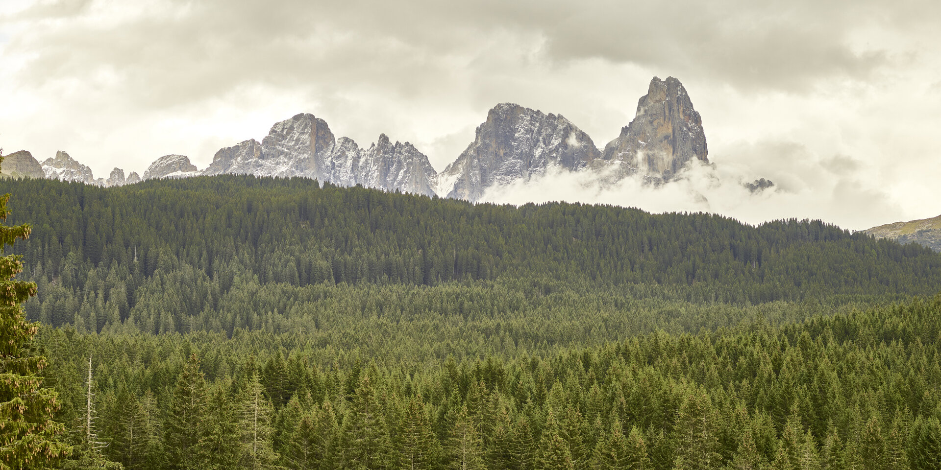 Content Dam Org 0 Images Full Rights Natura 35162