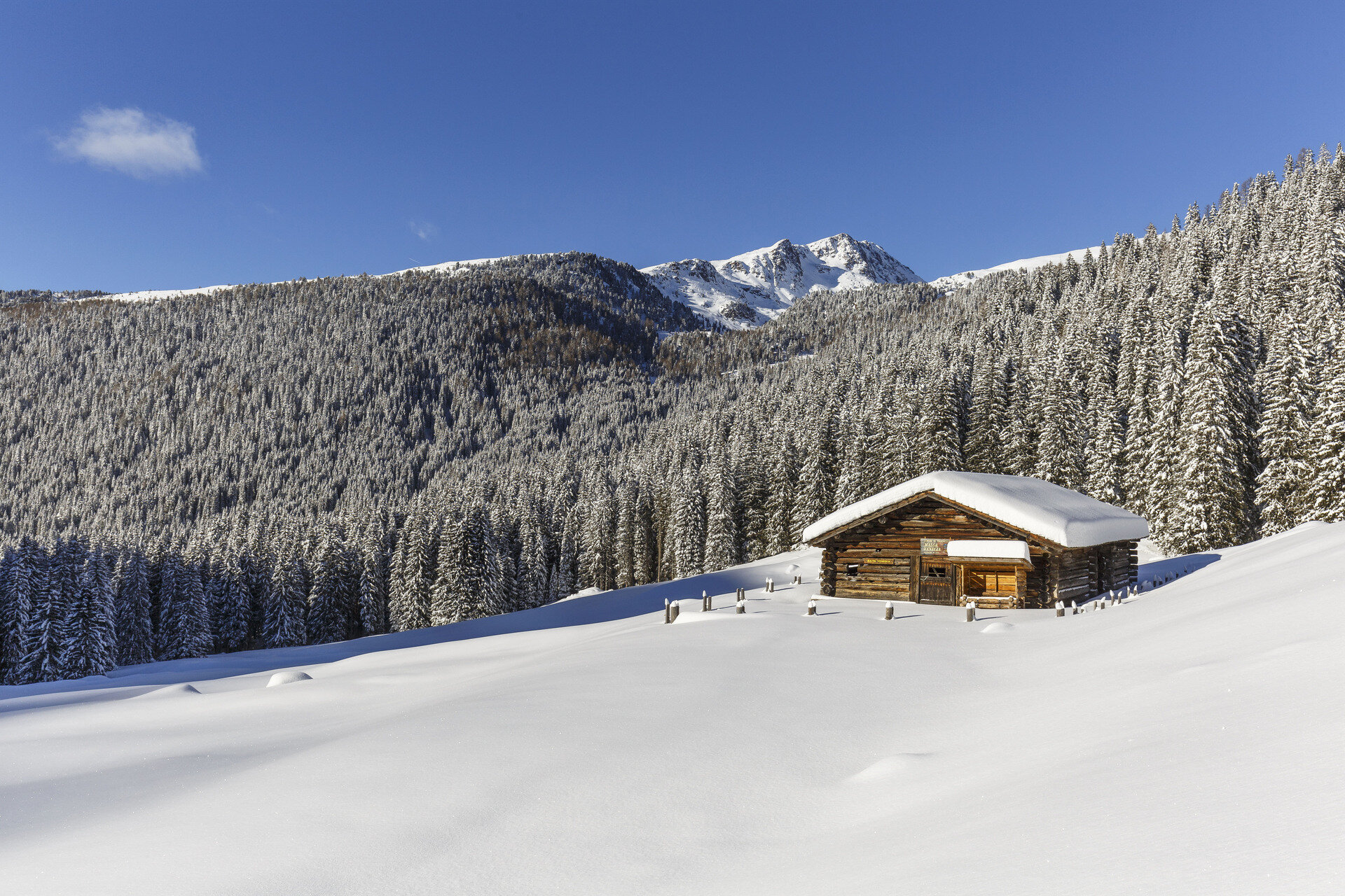 Content Dam Org 0 Images Full Rights Gusto 38321