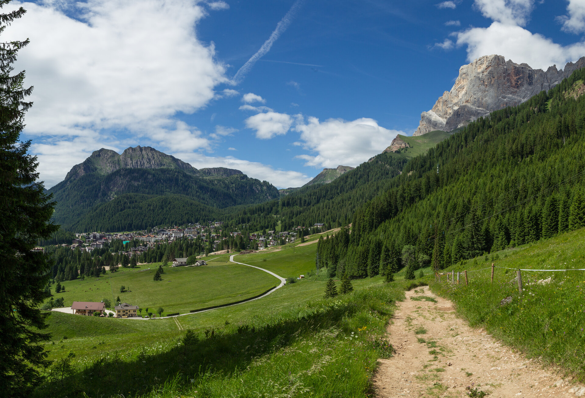 Content Dam Org 12 Images Full Rights Natura Prati Col Foto Ep Dolomites Web 60