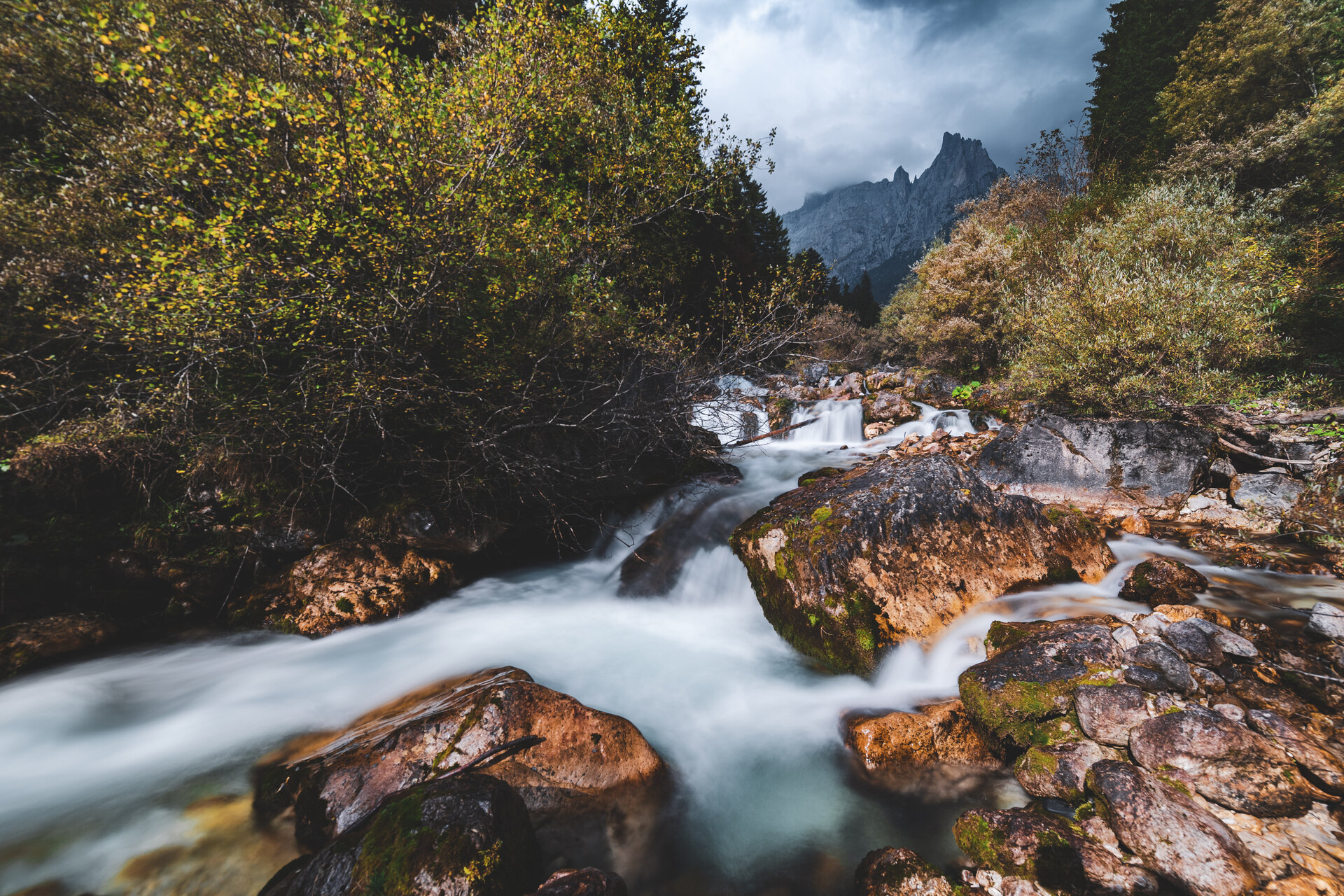 Content Dam Org 0 Images Full Rights Natura 39811