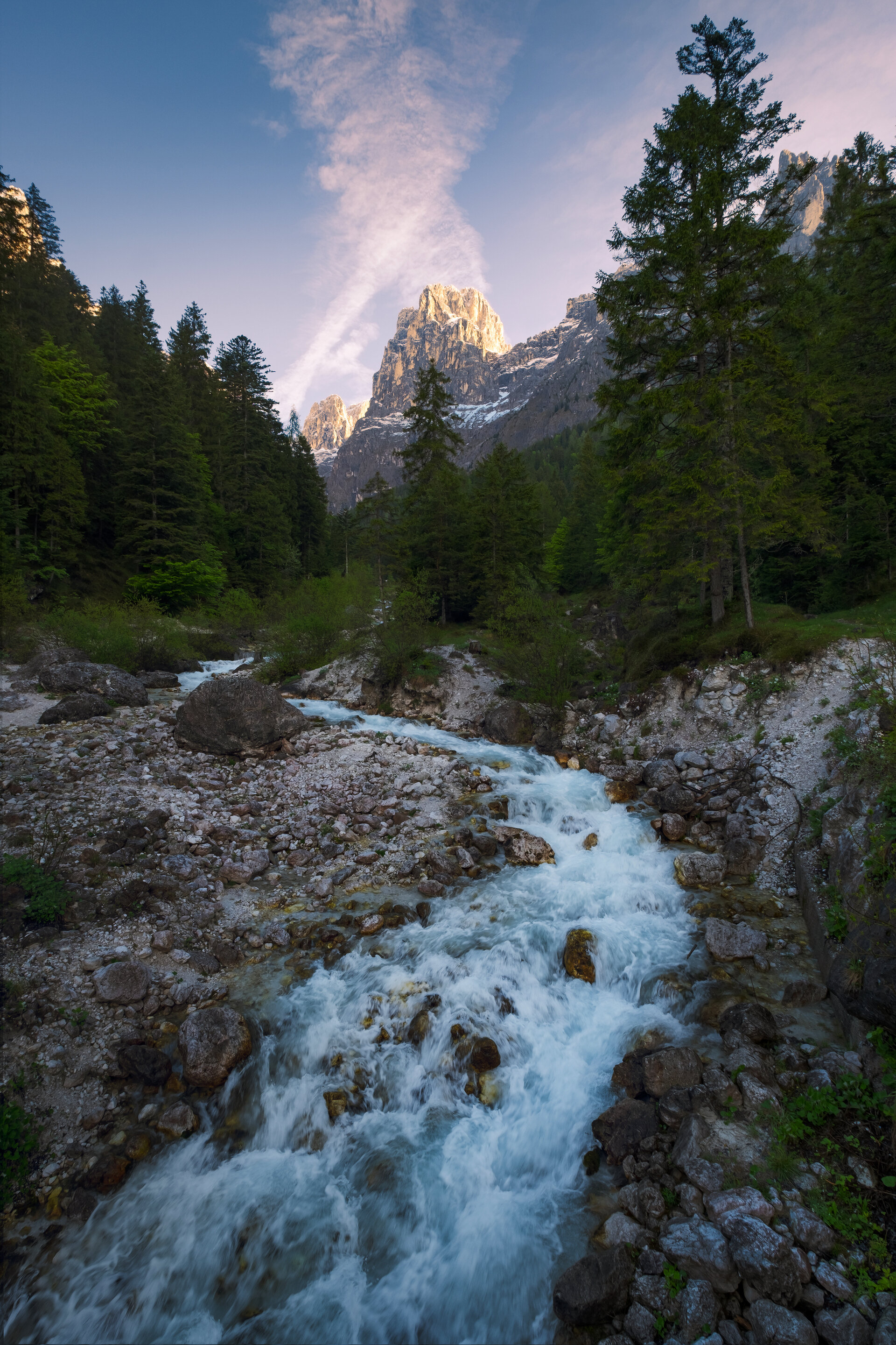 Content Dam Org 0 Images Full Rights Natura 37980