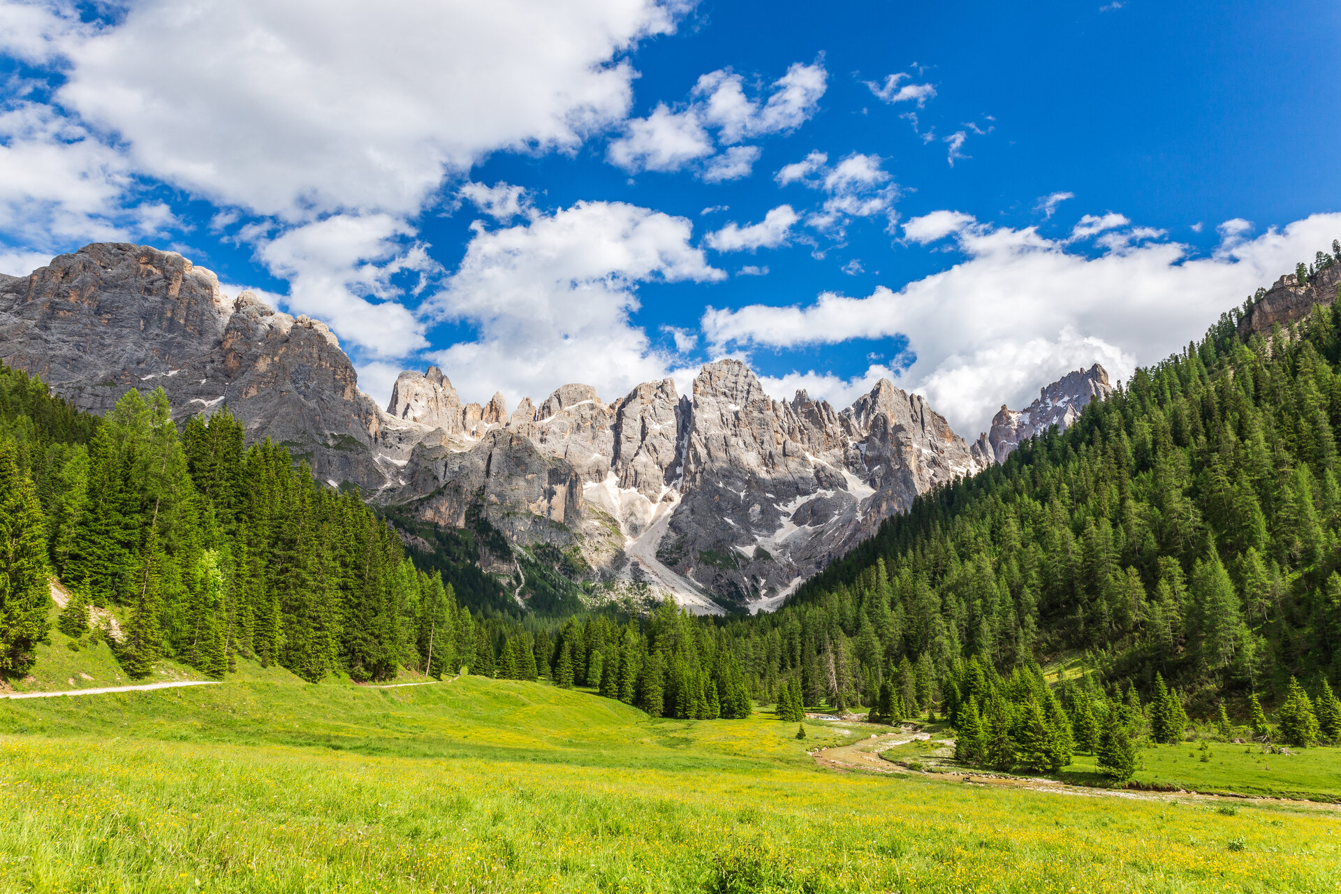 Content Dam Org 0 Images Full Rights Natura 37568