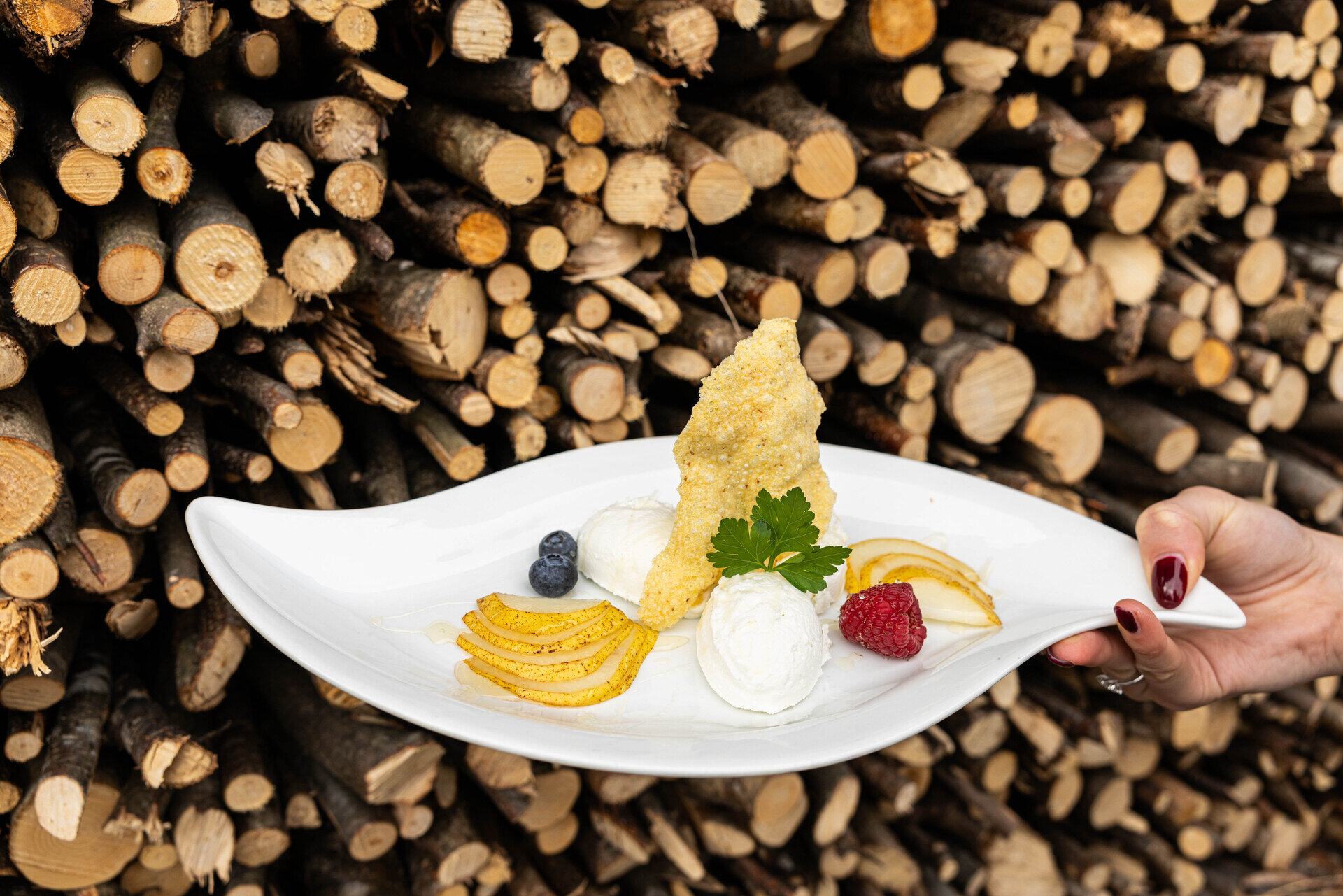 Content Dam Org 12 Images Full Rights Gusto Chalet Piereni 1r9a2056