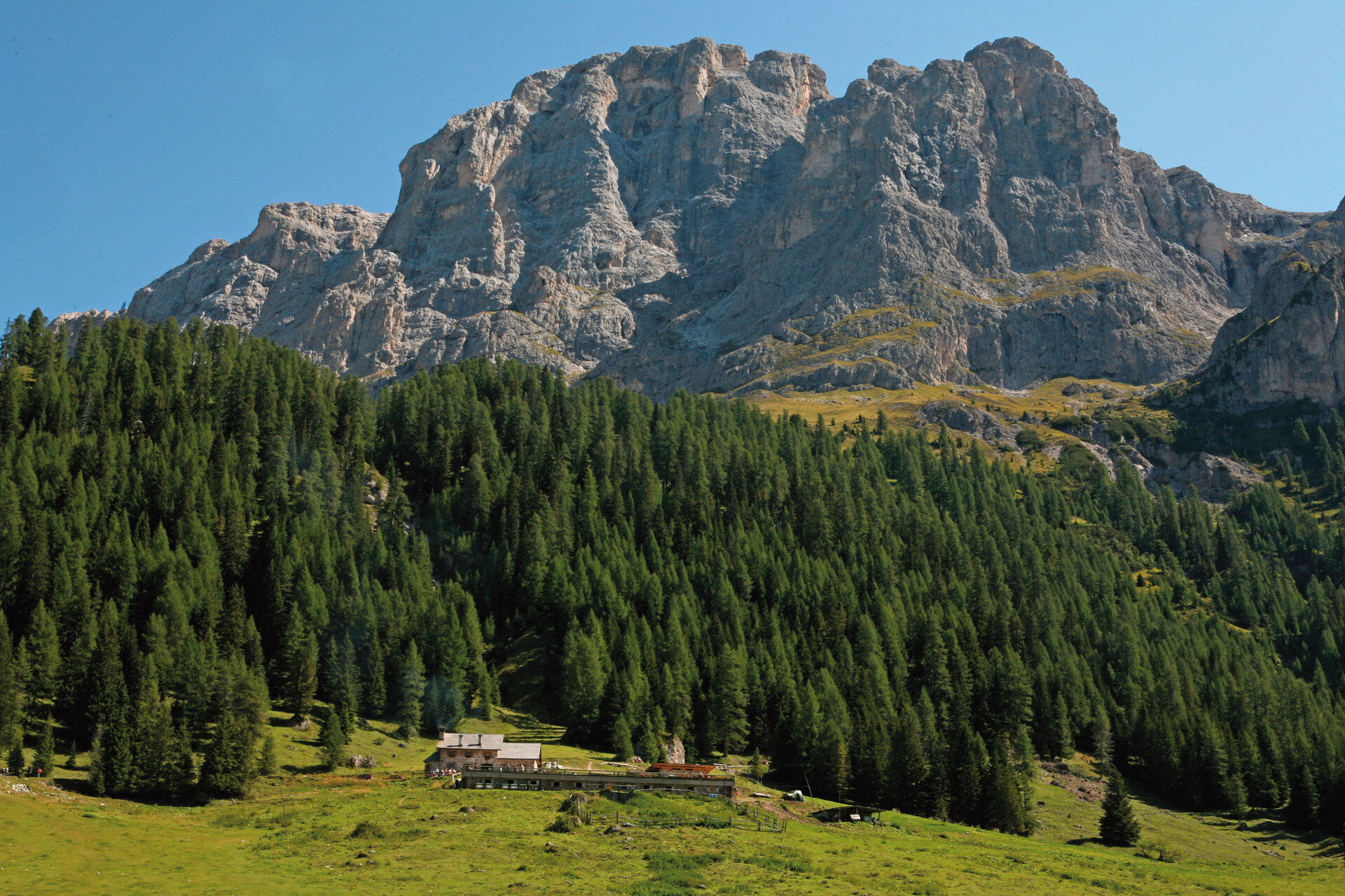 Content Dam Org 0 Images Full Rights Gusto 18420