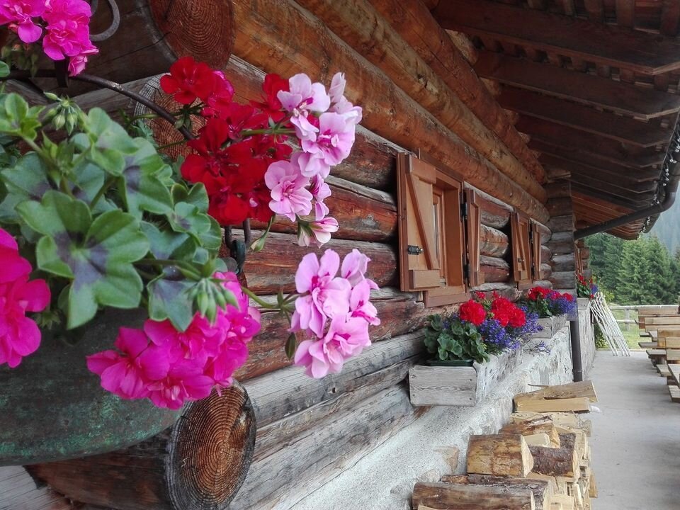 Ristorante Agritur Malga Lozen